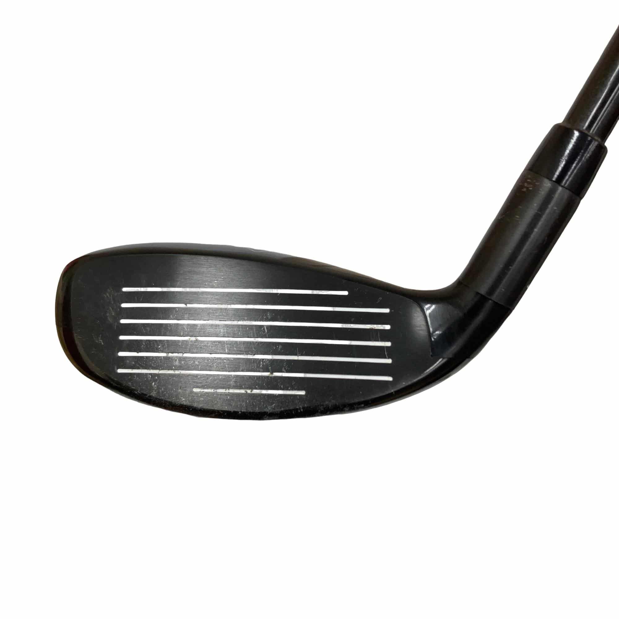 �w�Q�@�g�n�s�@�t�T