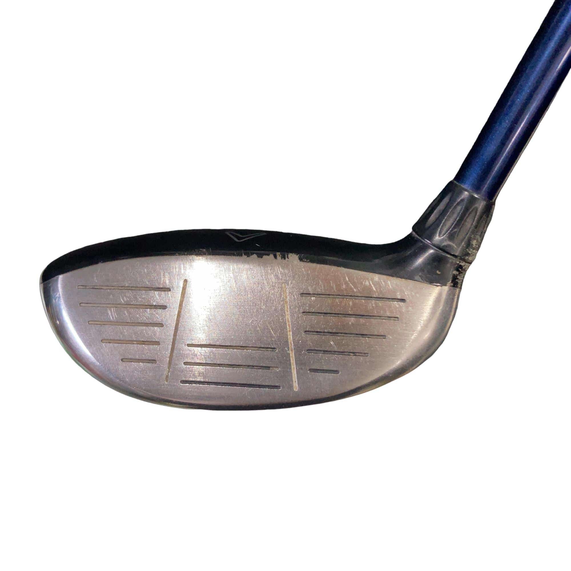 �w�@�c�q�r�@���[�e�B���e�B�@�S�g�i�Q�S°�j