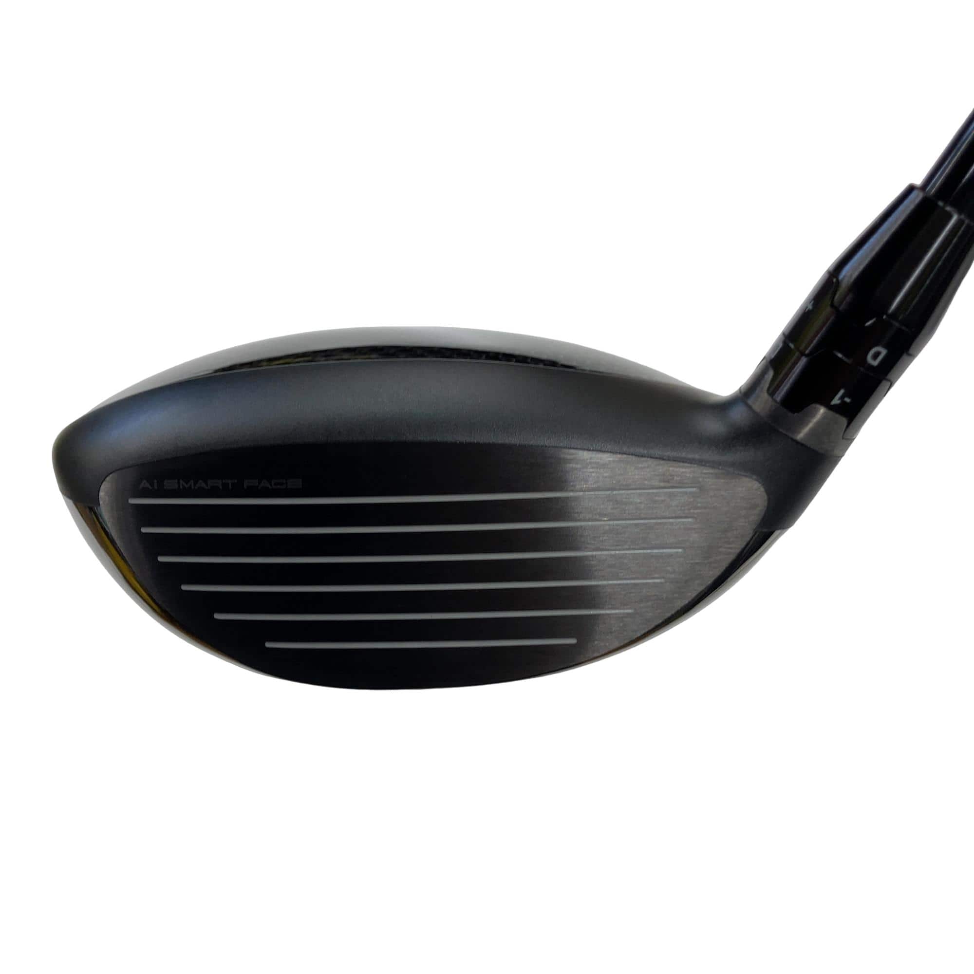 �o�`�q�`�c�x�l�@�`���@�r�l�n�j�d�@�������@�R�v