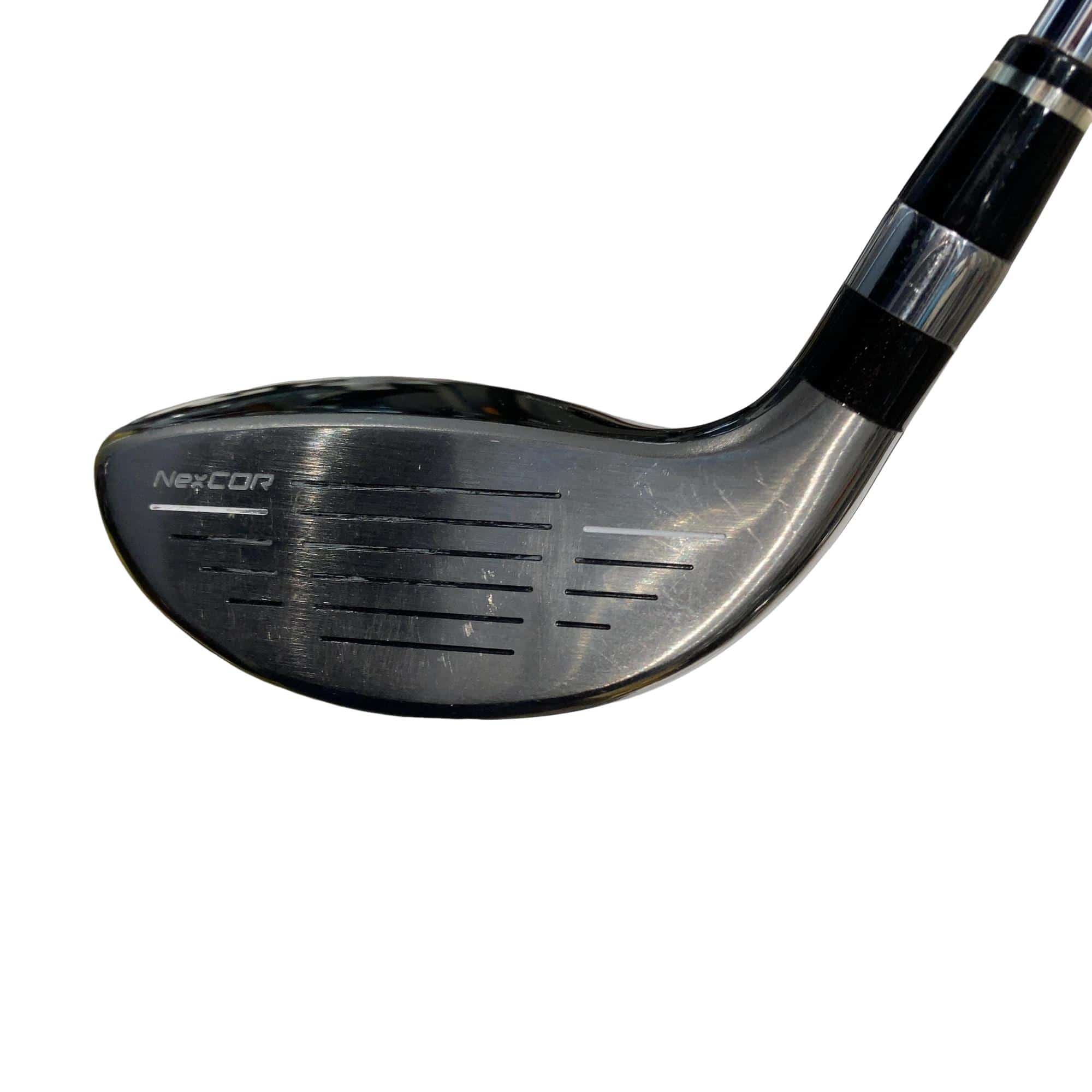 �u�q�Q�r�@���[�e�B���e�B�@�t�S