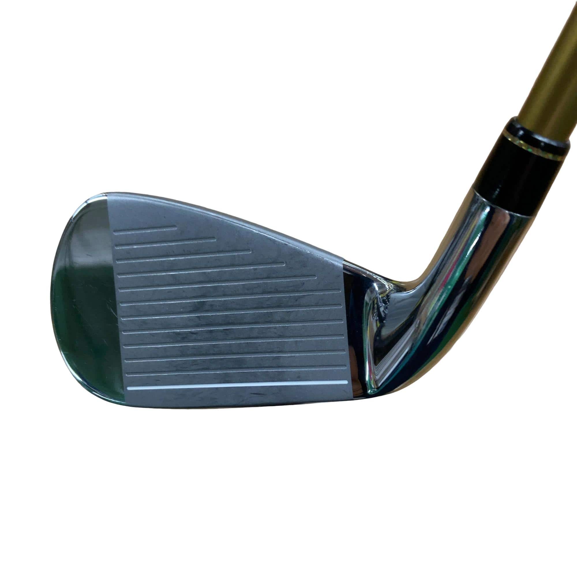 �d�y�n�m�d�@�q���������i�Q�O�P�X�j�@�V�r�i���{���F�T�{�Z�b�g�j