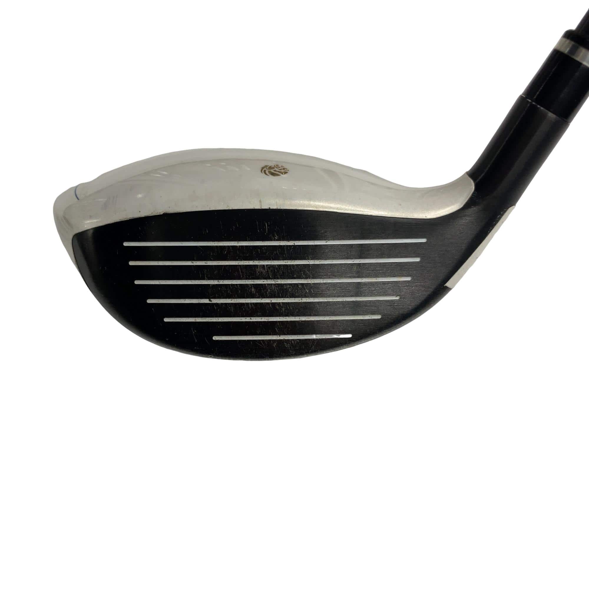 �f�k�n�h�q�d�@�e�i�Q�O�P�U�j�@�T�v