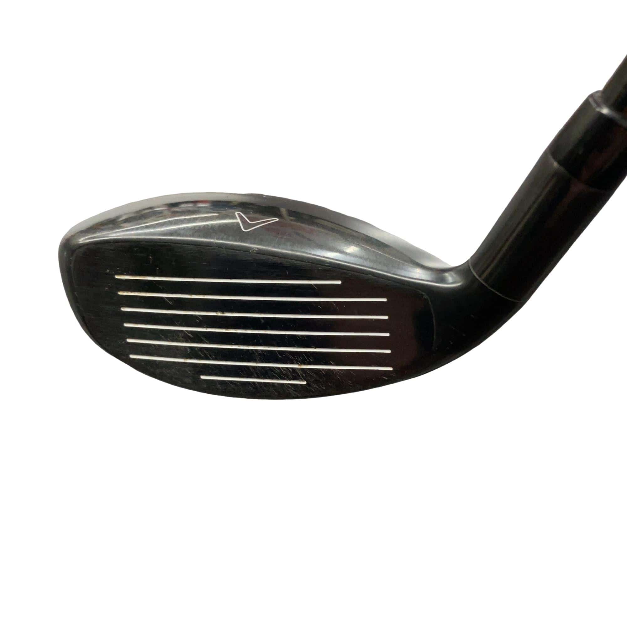 �w�Q�@�g�n�s�@�t�R