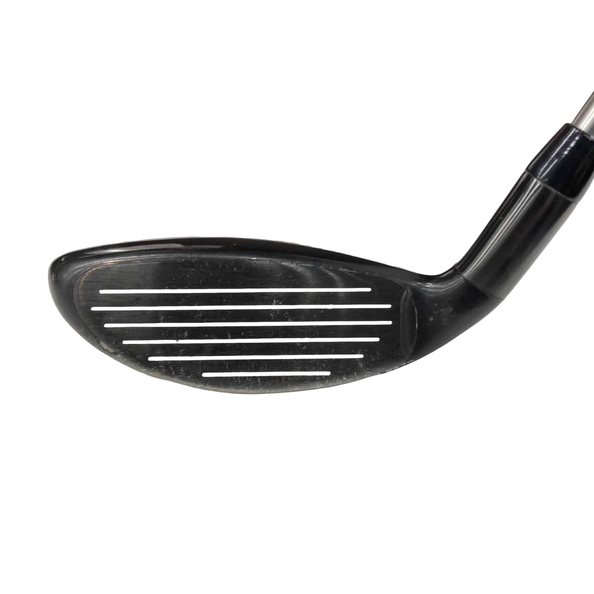 �w�@�g�n�s�@�t�R