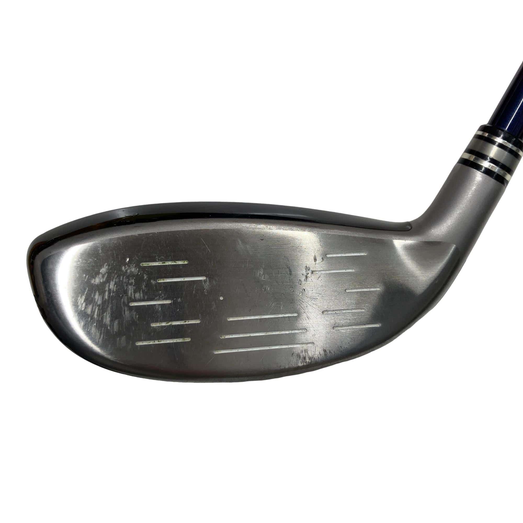 �w�w�h�n�i�Q�O�P�W�j�@�g�T