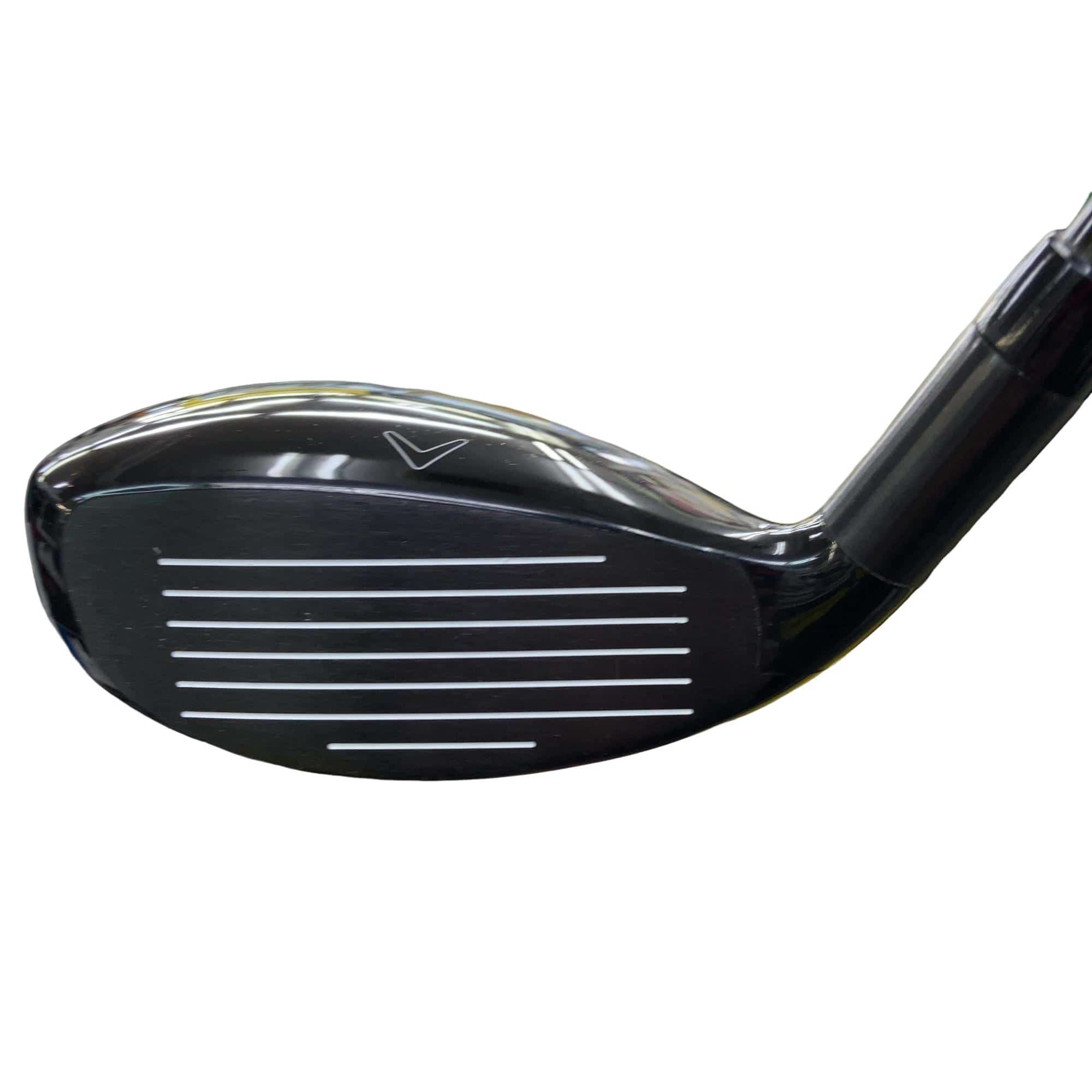 �w�Q�@�g�n�s�@�t�S