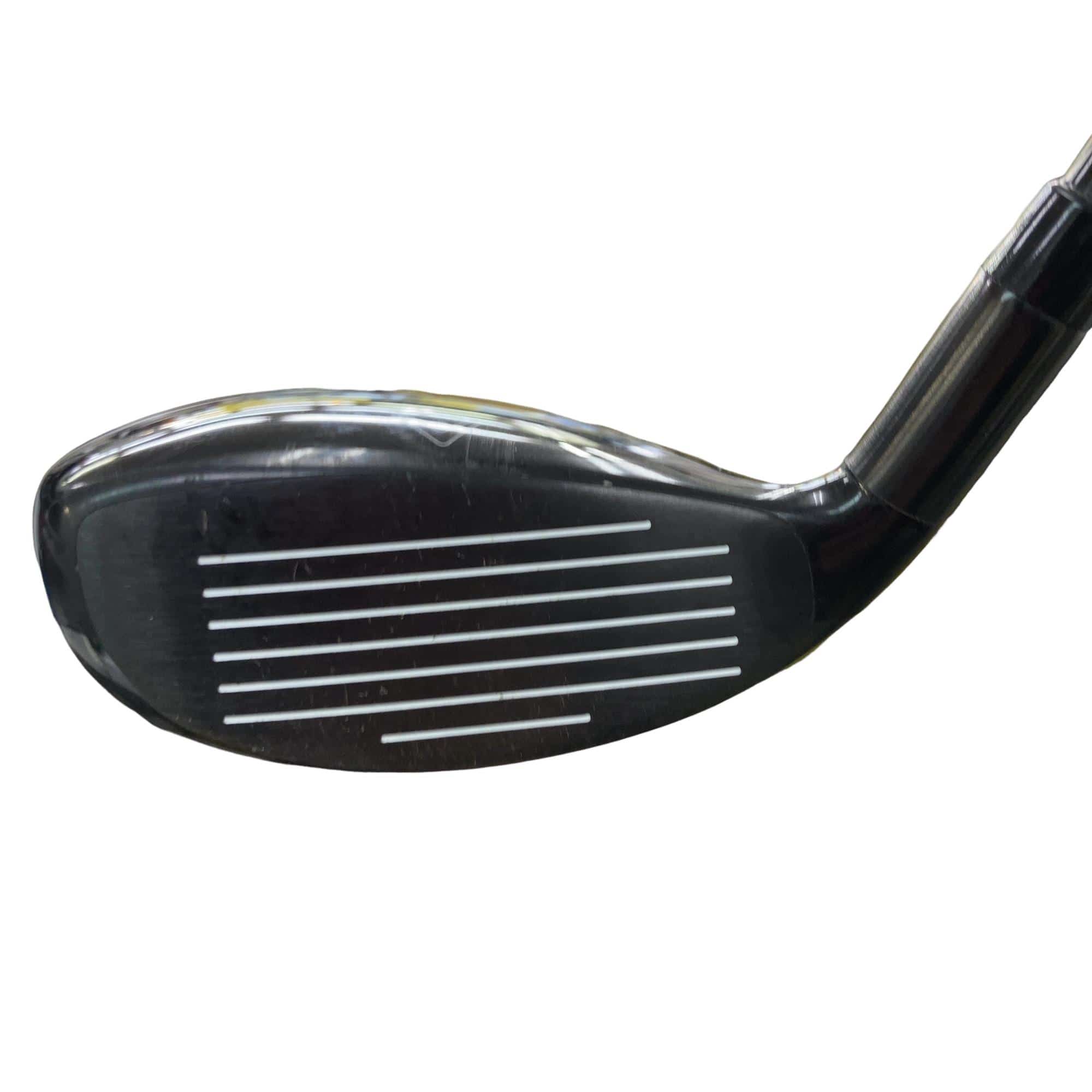 �w�Q�@�g�n�s�@�t�T