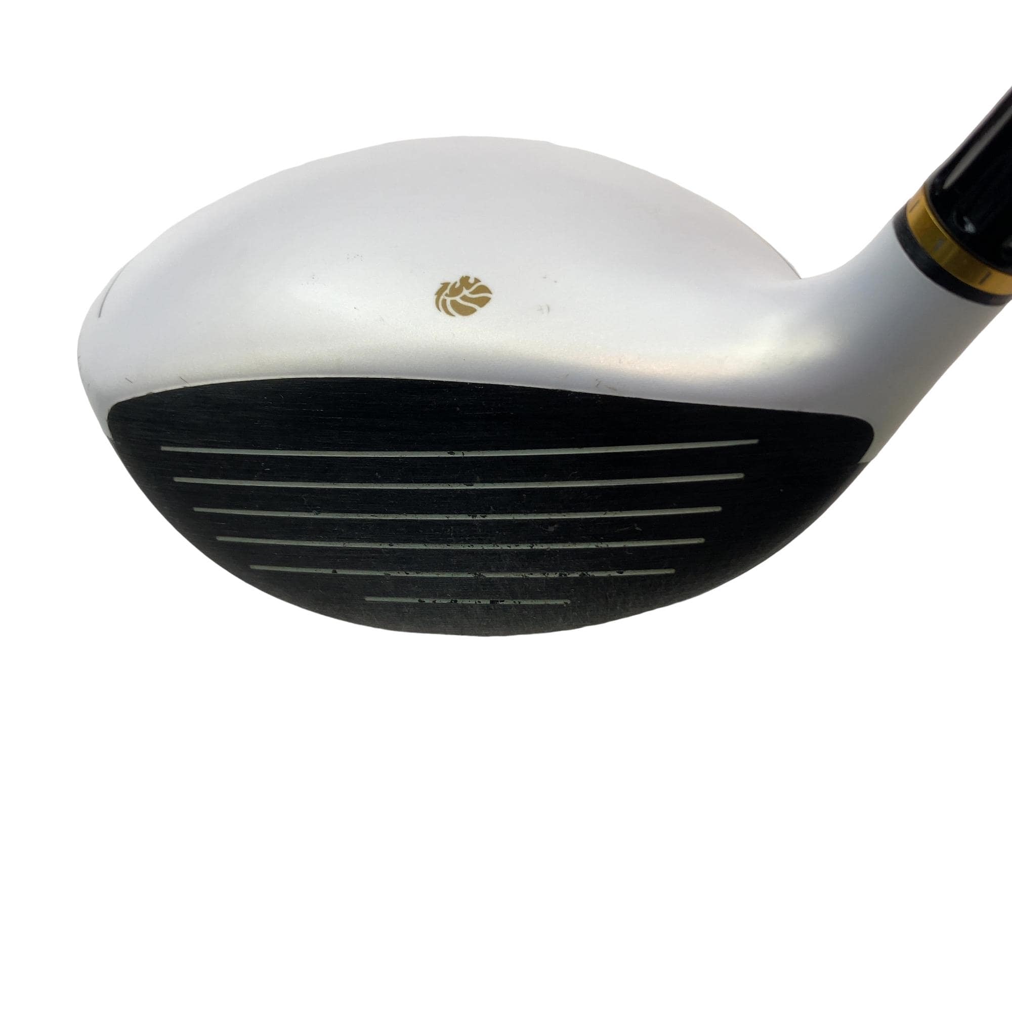 �f�k�n�h�q�d�@�T�v