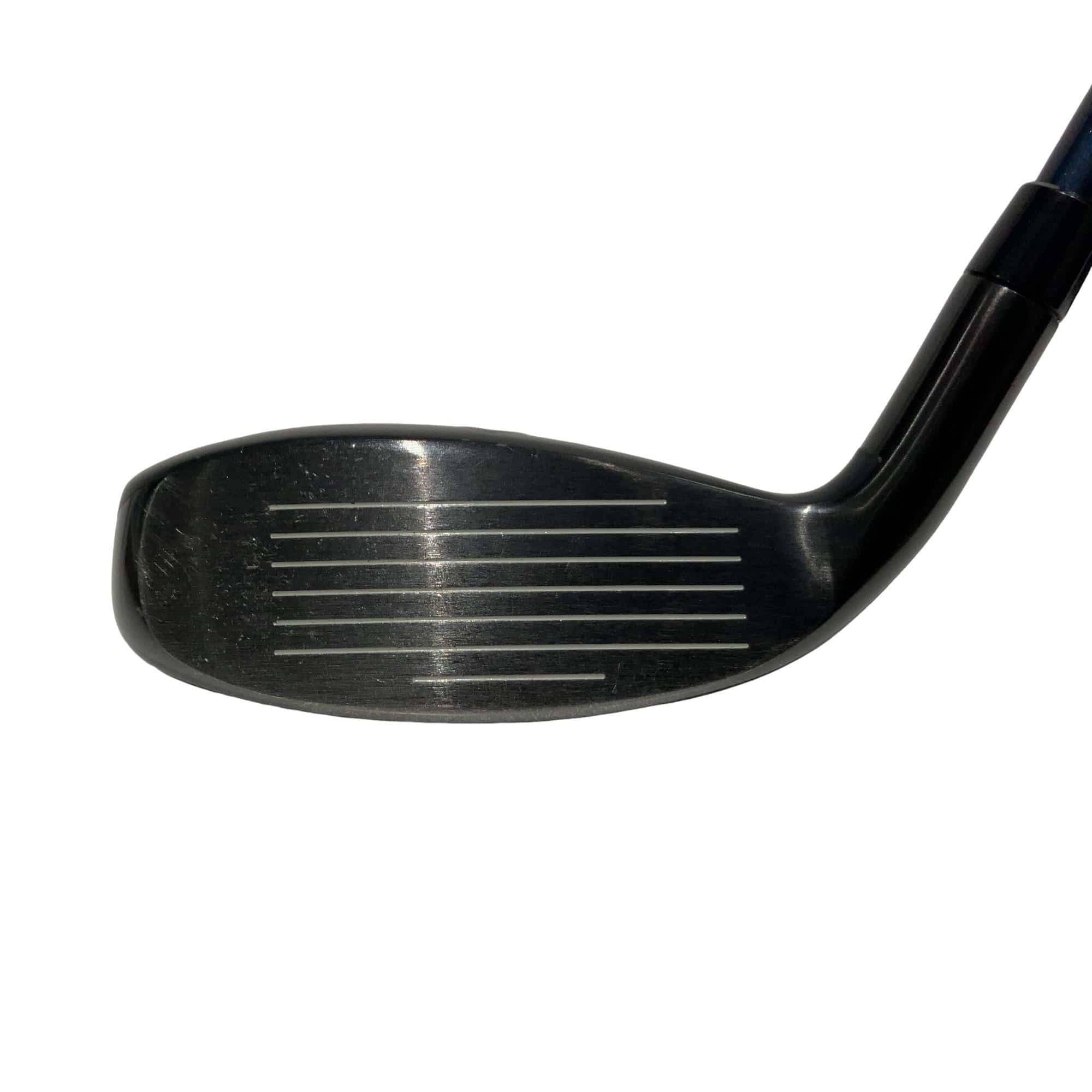 �w�q�@�P�U�@�n�r�@�t�R