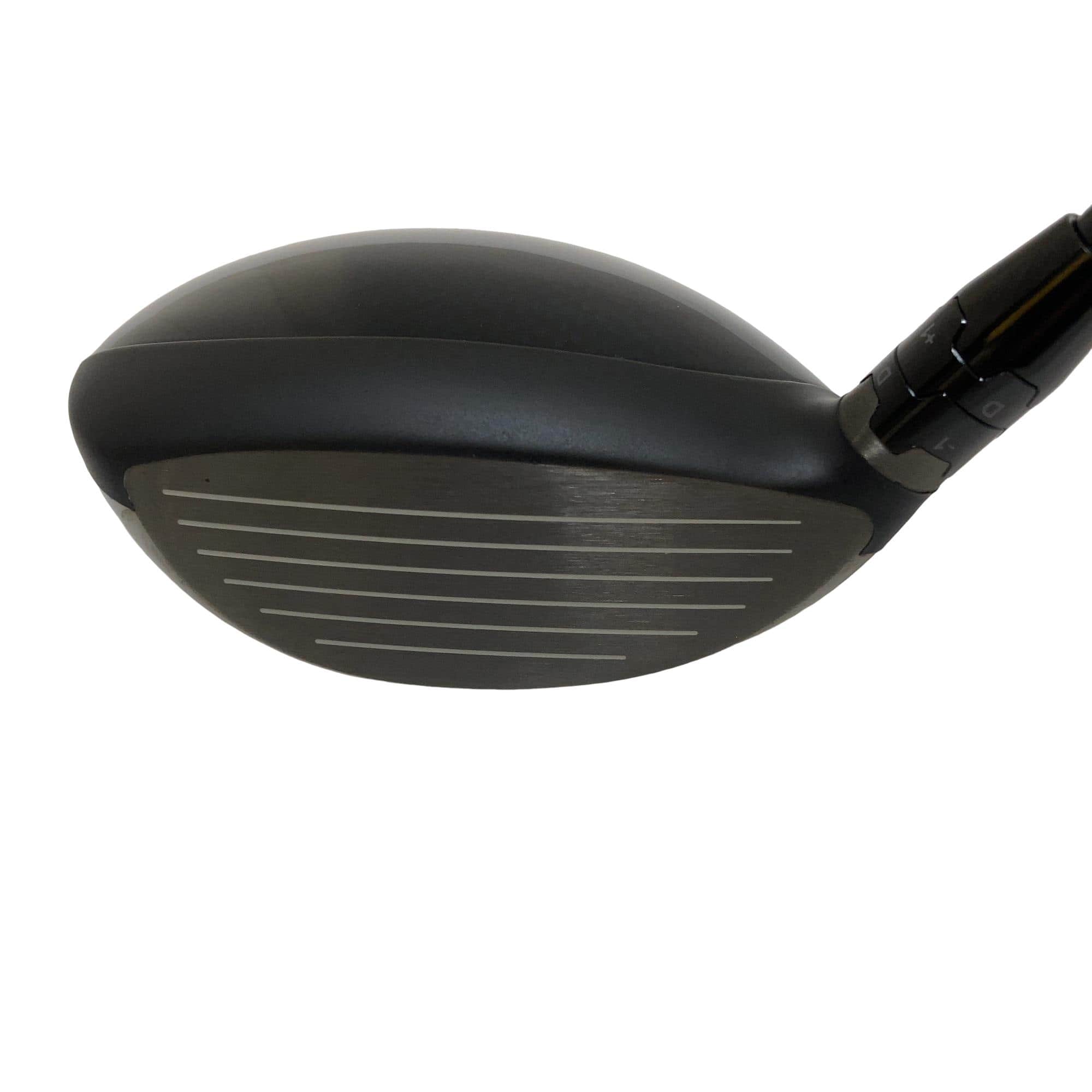 �o�`�q�`�c�x�l�@�������@�R�v�@�t�r�`