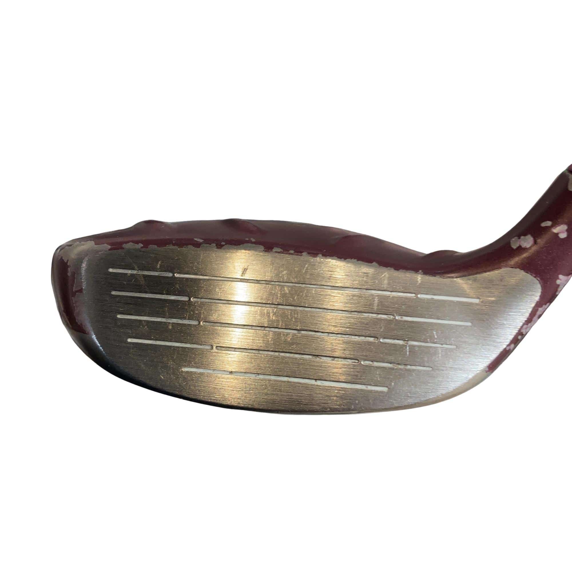 �f�@�k���Q�@�T�v�@���f�B�[�X