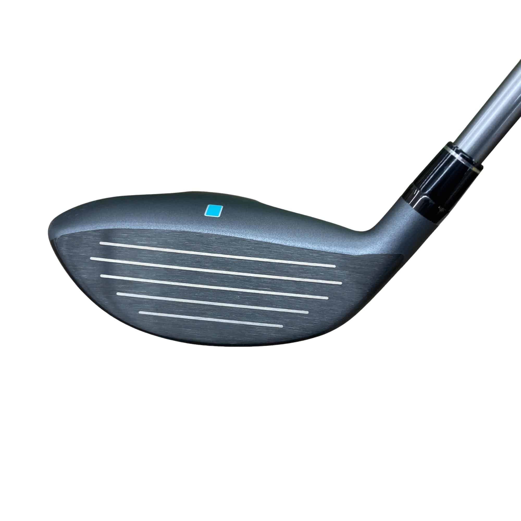 �b�����������@�p�@�t�T