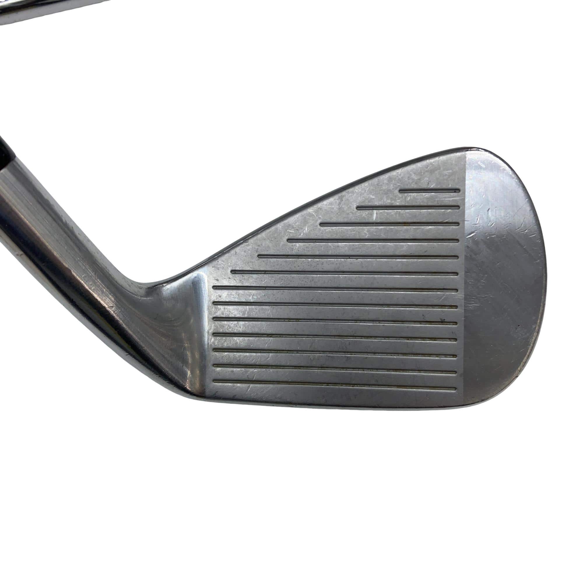 �i�o�w�i�Q�O�P�T�j�@�e�n�q�f�d�c�@�U�r�@���t�e�B�i���{���F�T�{�Z�b�g�j