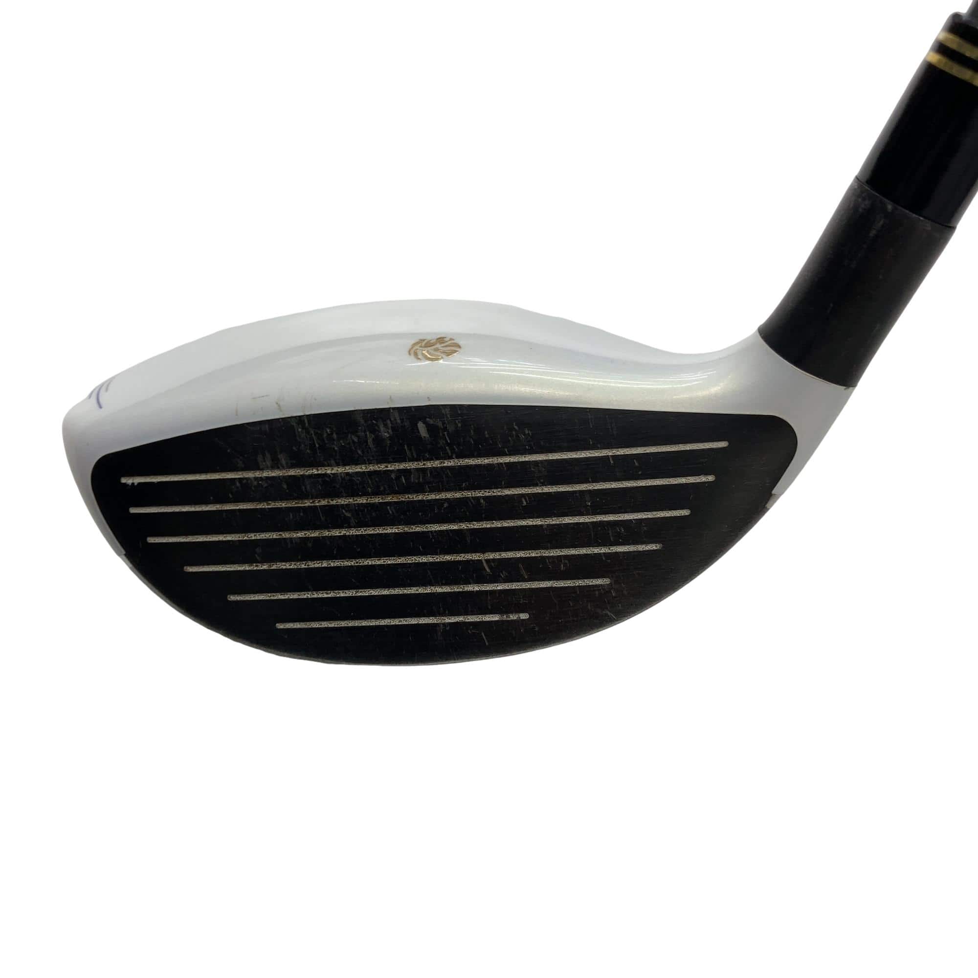 �f�k�n�h�q�d�@�e�@�T�v