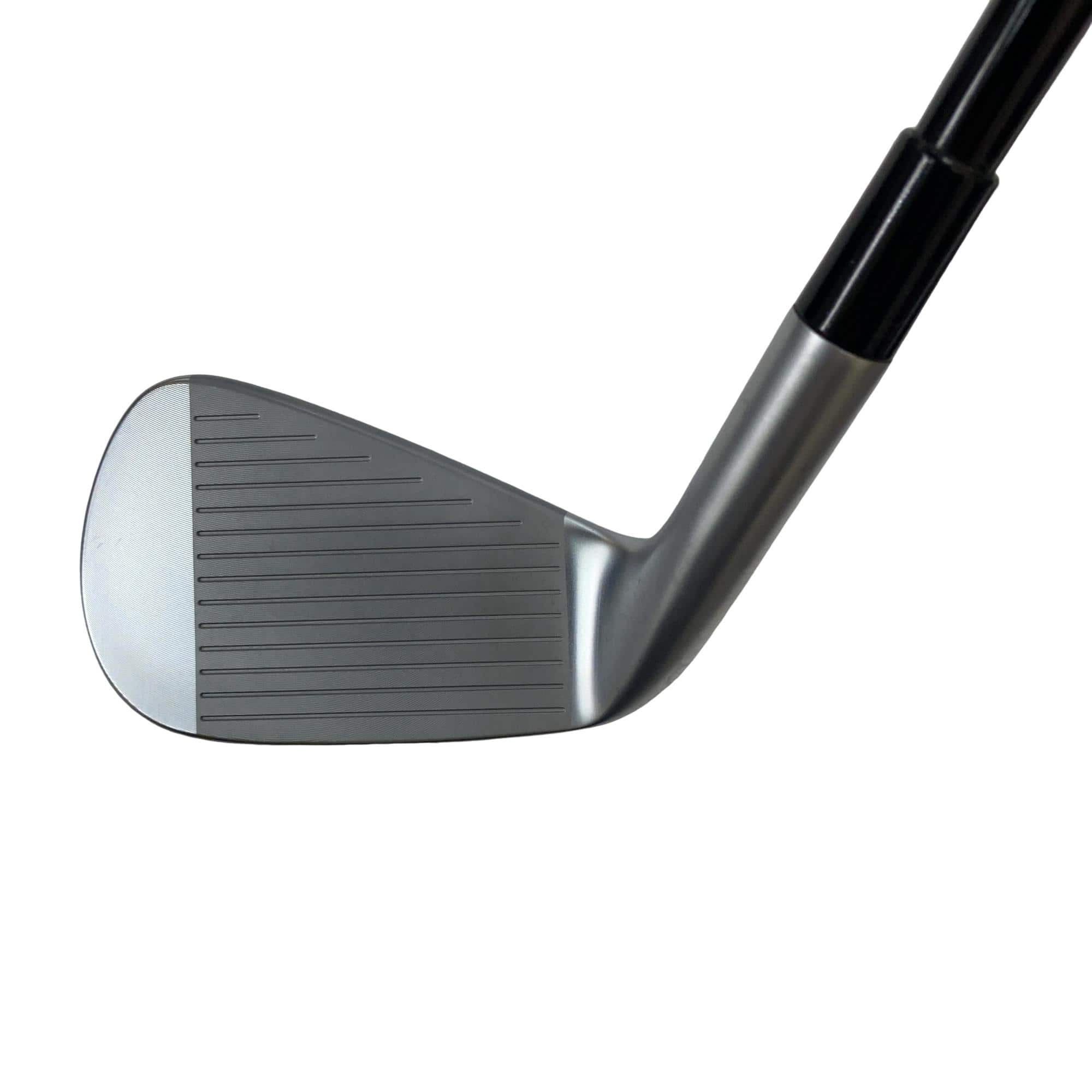 �s�����������@�l�������@�o�E�V�l�b�i�Q�O�Q�R�j�@�U�r�i���{���F�U�{�Z�b�g�j