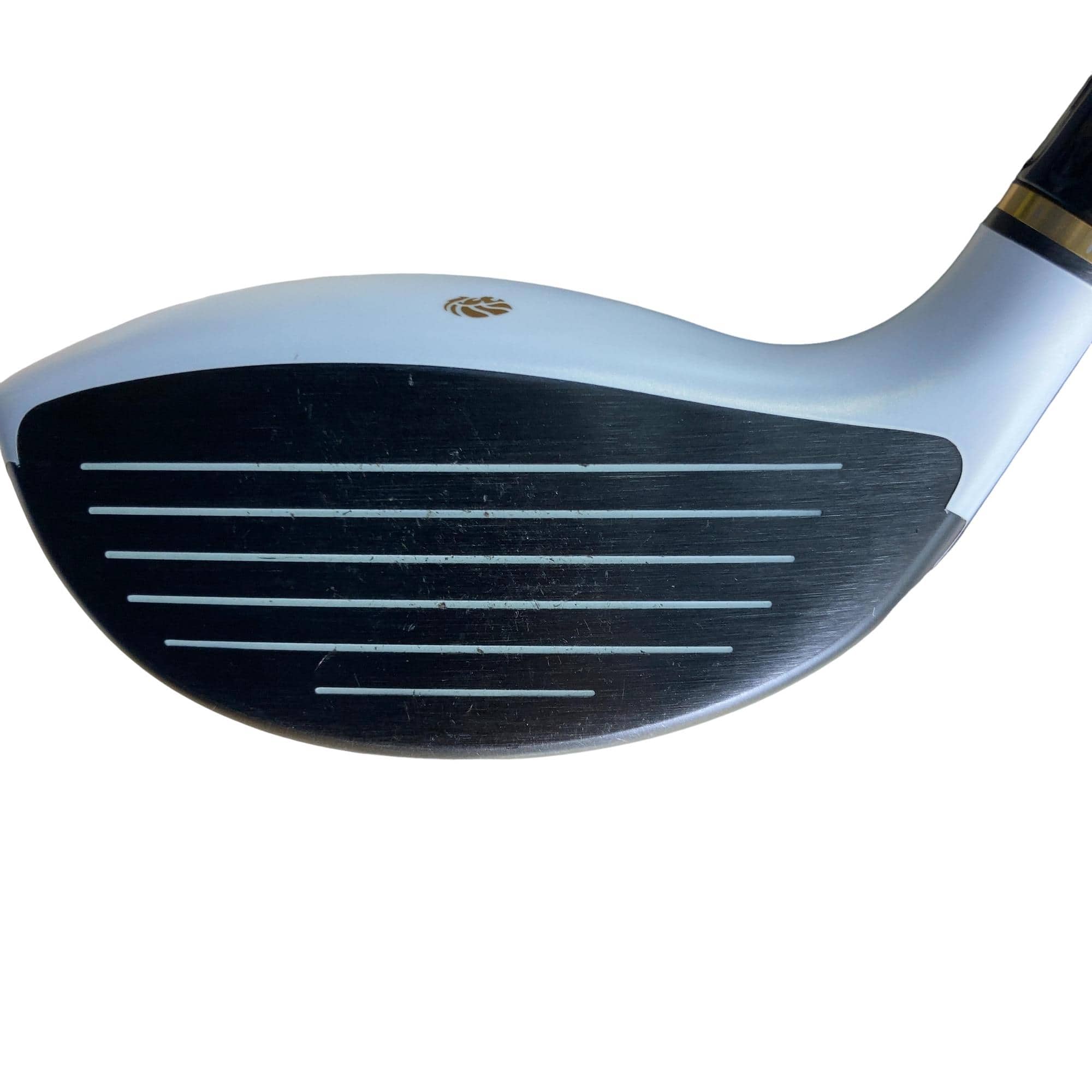 �f�k�n�h�q�d�@�R�v