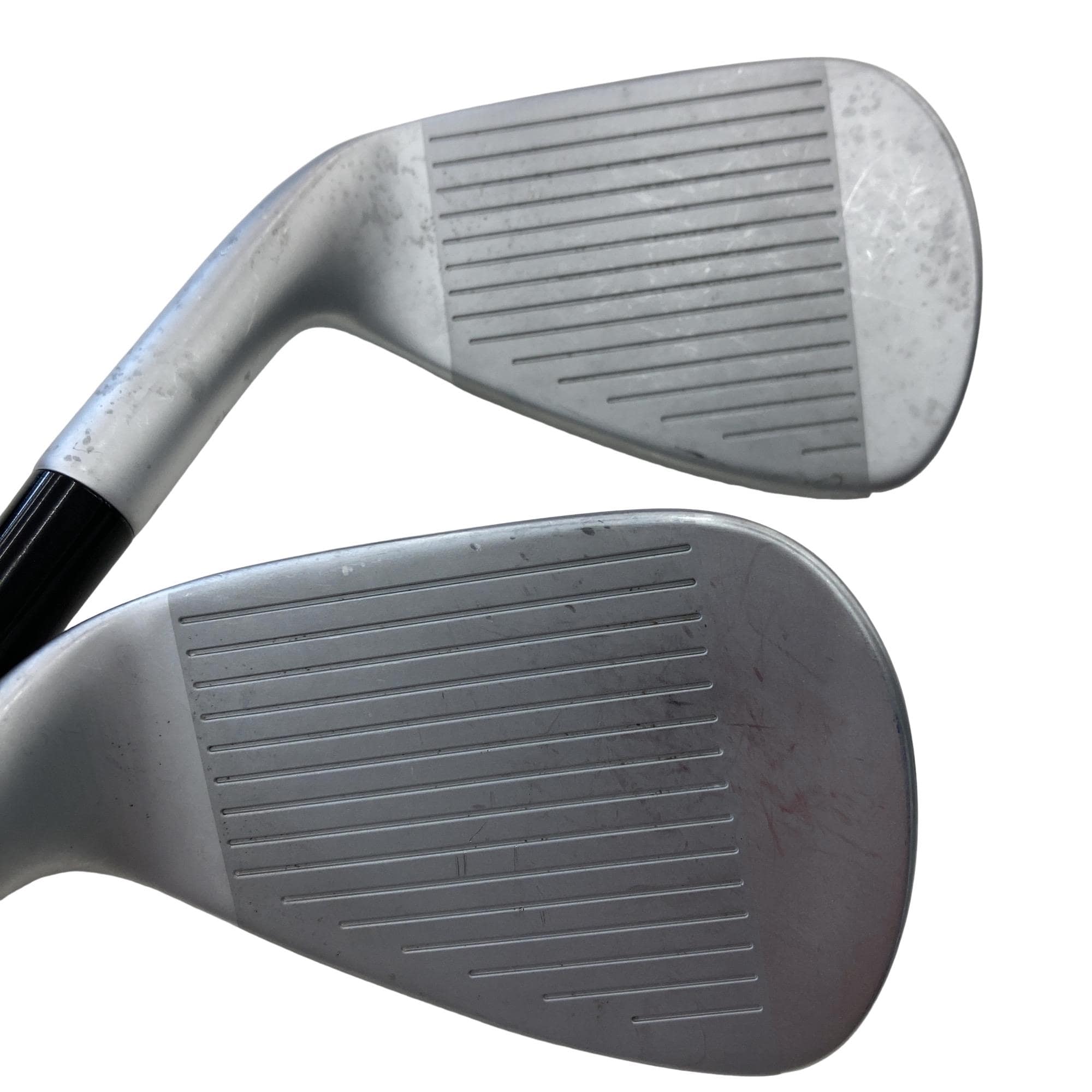 �s�����������@�l�������@�o�E�V�X�O�i�Q�O�Q�R�j�@�T�r�i���{���F�T�{�Z�b�g�j