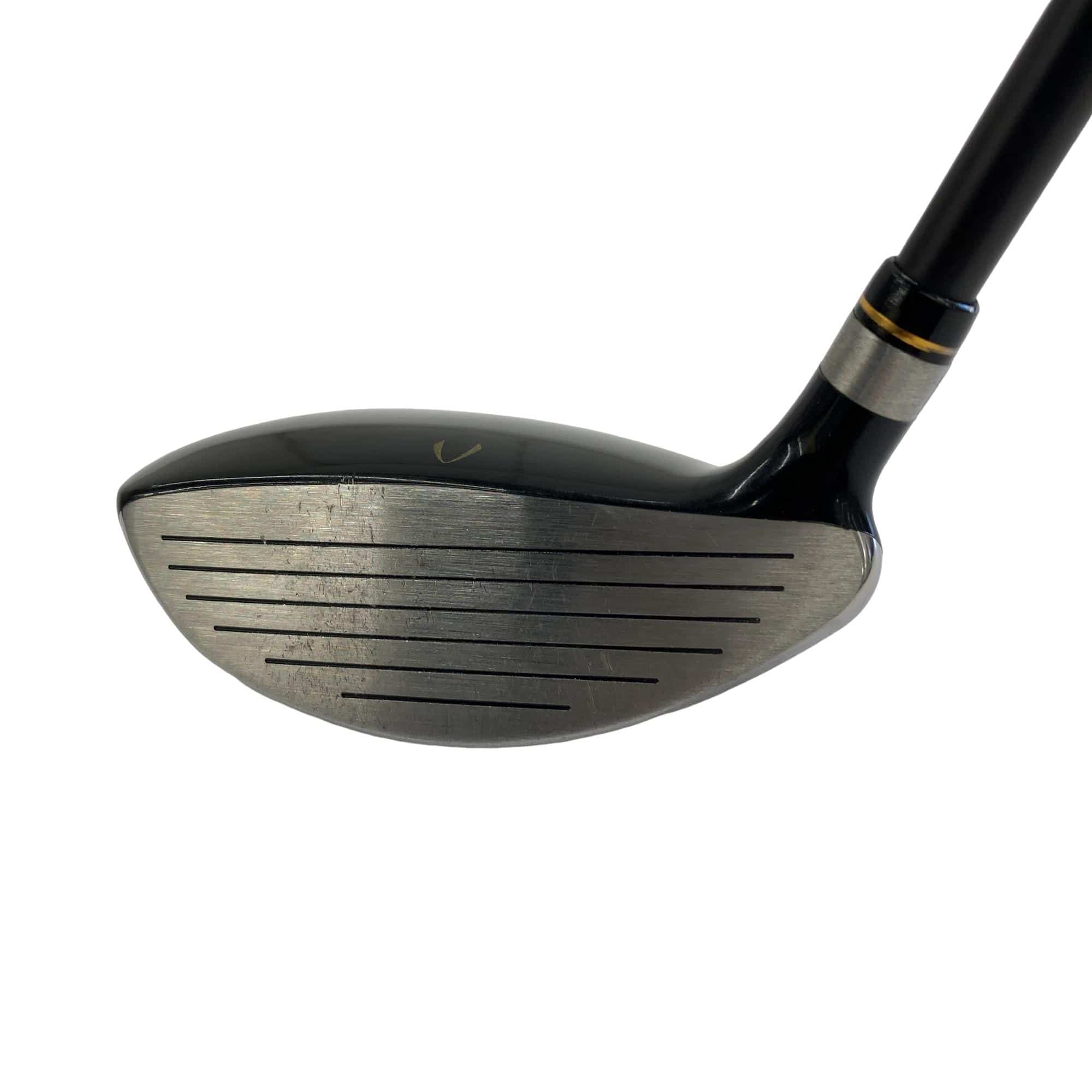 �j�Q�j�@���������O�X���[�e�B���e�B�@�t�T