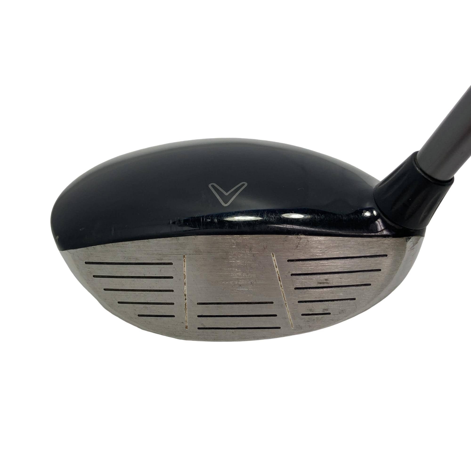 �w�@���[�e�B���e�B�@�R�g�i�Q�P°�j