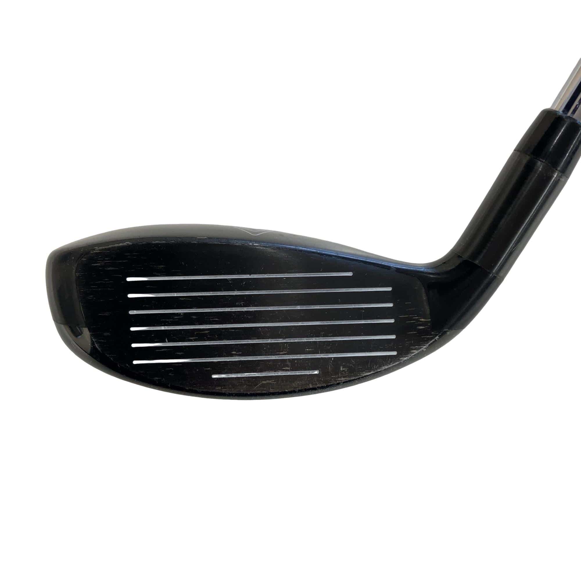 �w�Q�@�g�n�s�@�t�R