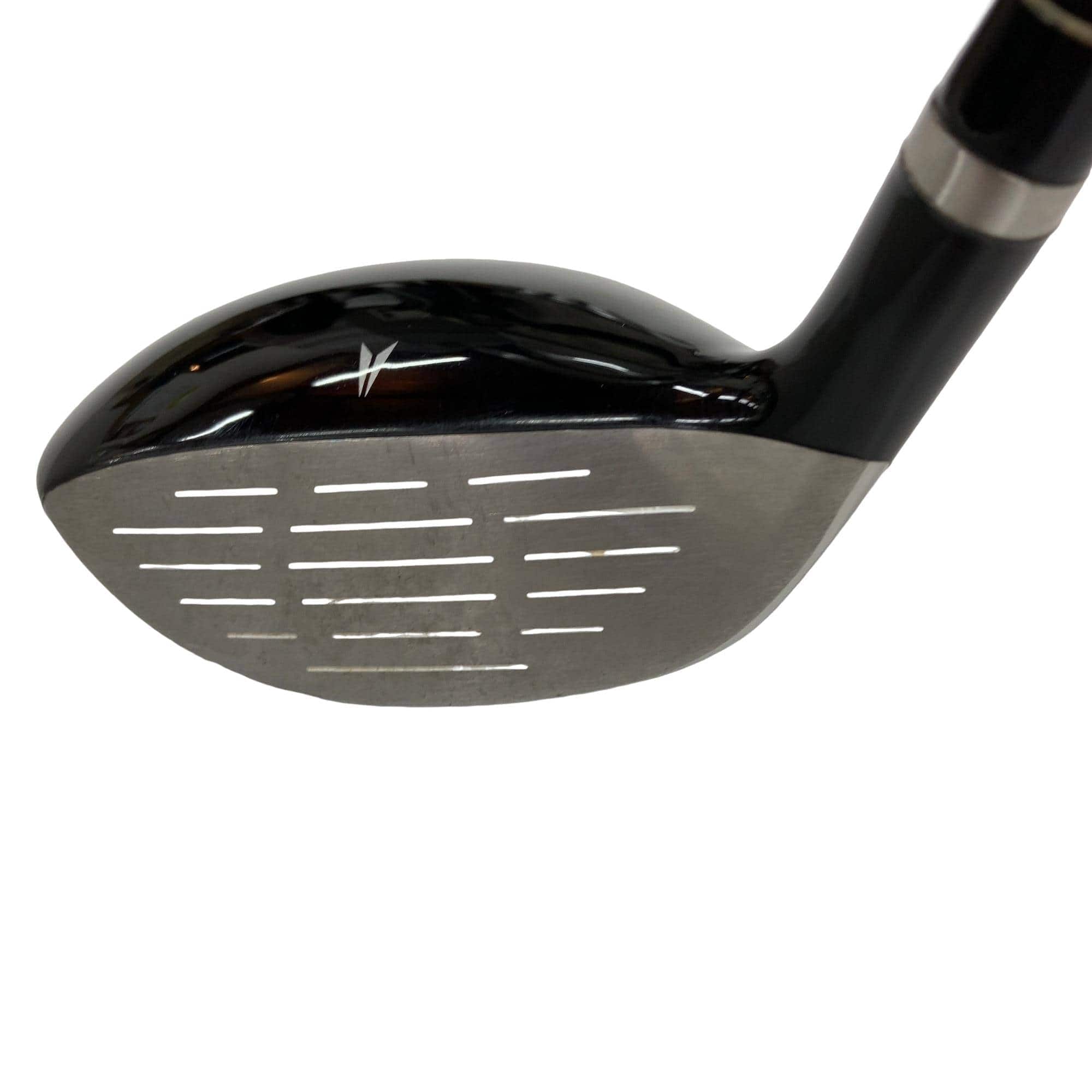 �u�����������@�u�f�q�@�t�T