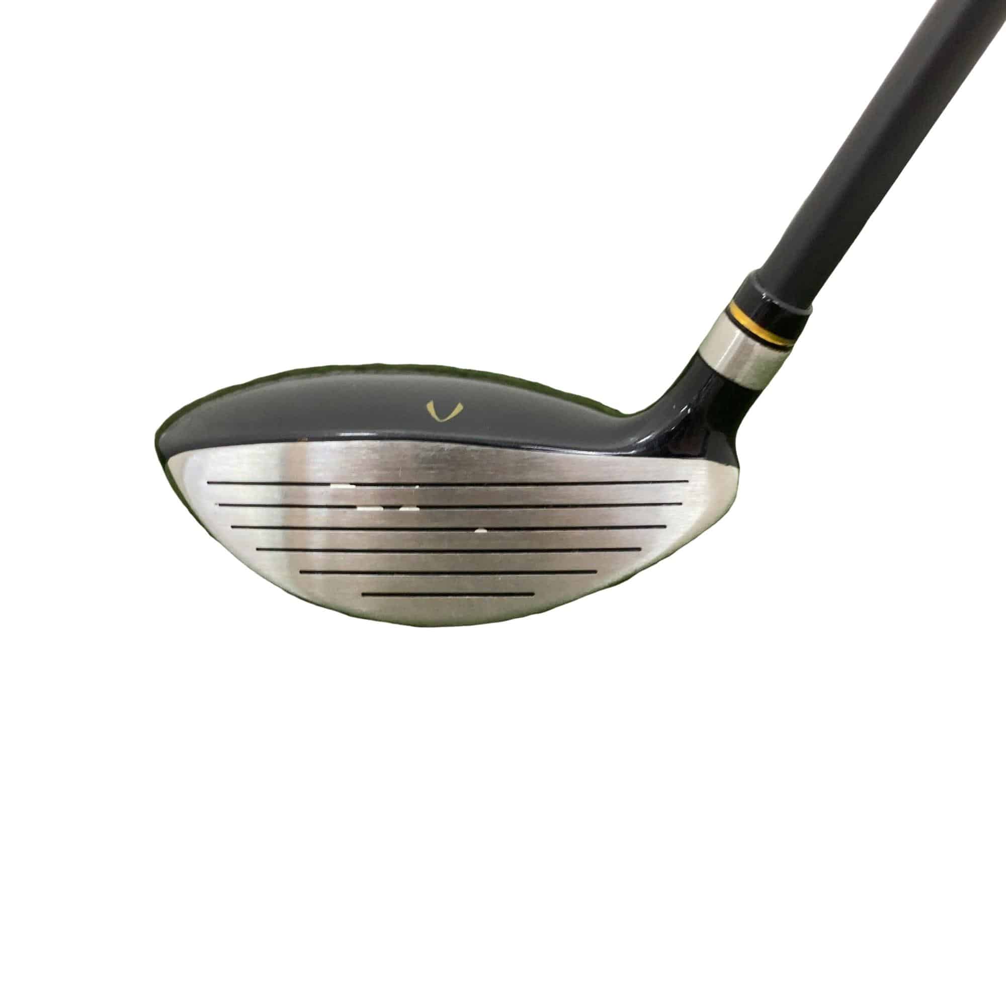 �j�Q�j�@���������O�X���[�e�B���e�B�@�t�T