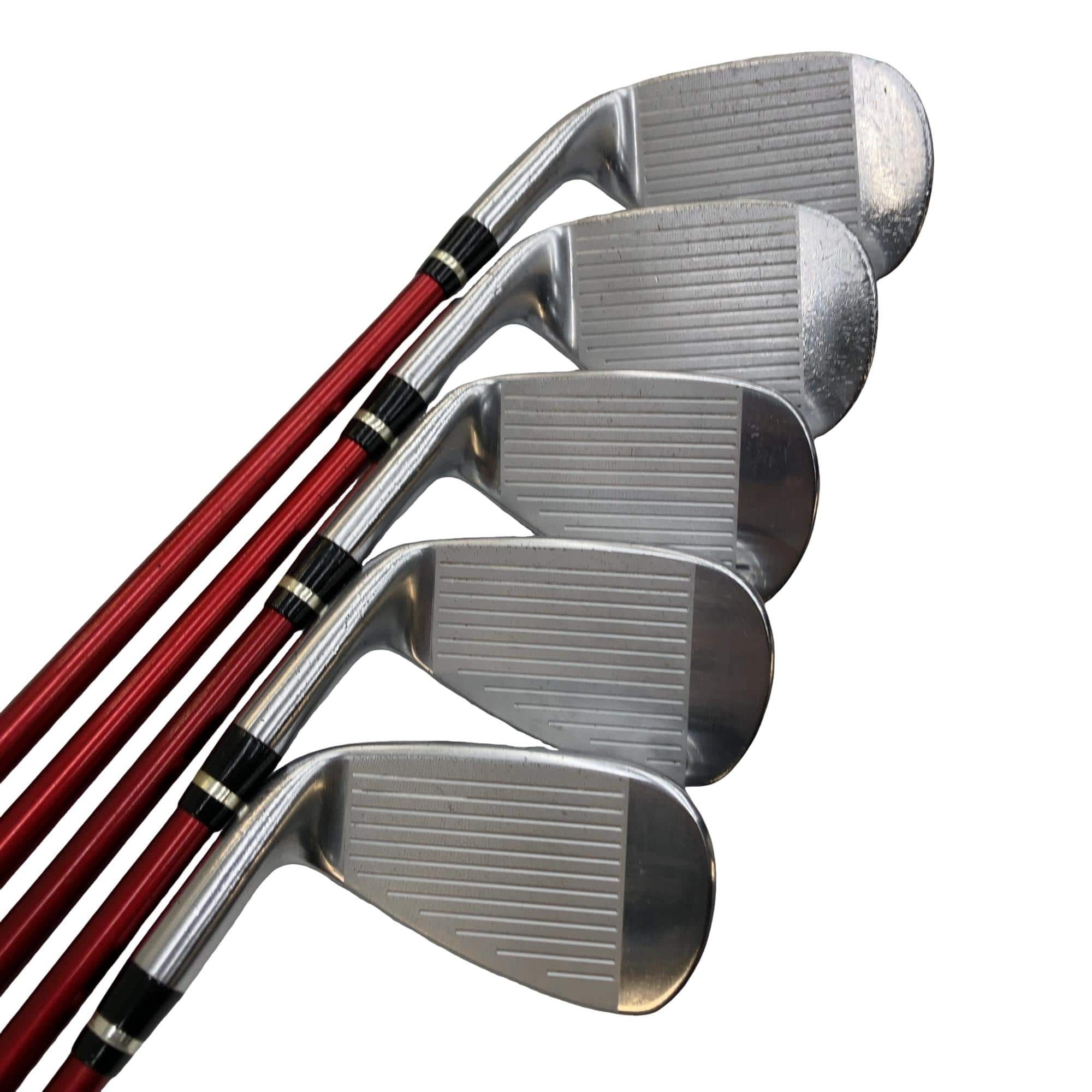 �������������@�q�l�w�@�t�c�{�Q�@�V�r�i���{���F�T�{�Z�b�g�j