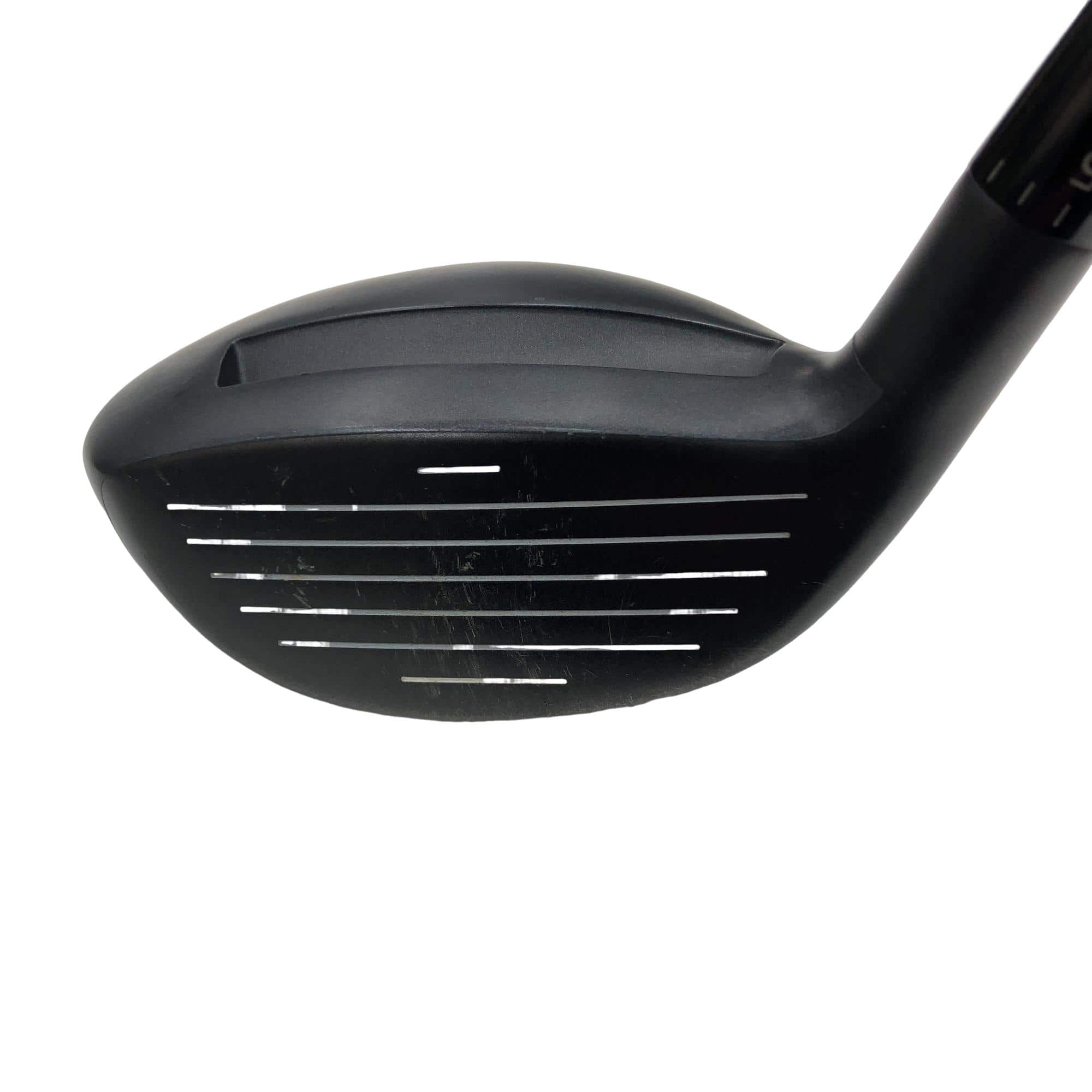 �`���������@�w�s�c�@�����@�P�W°