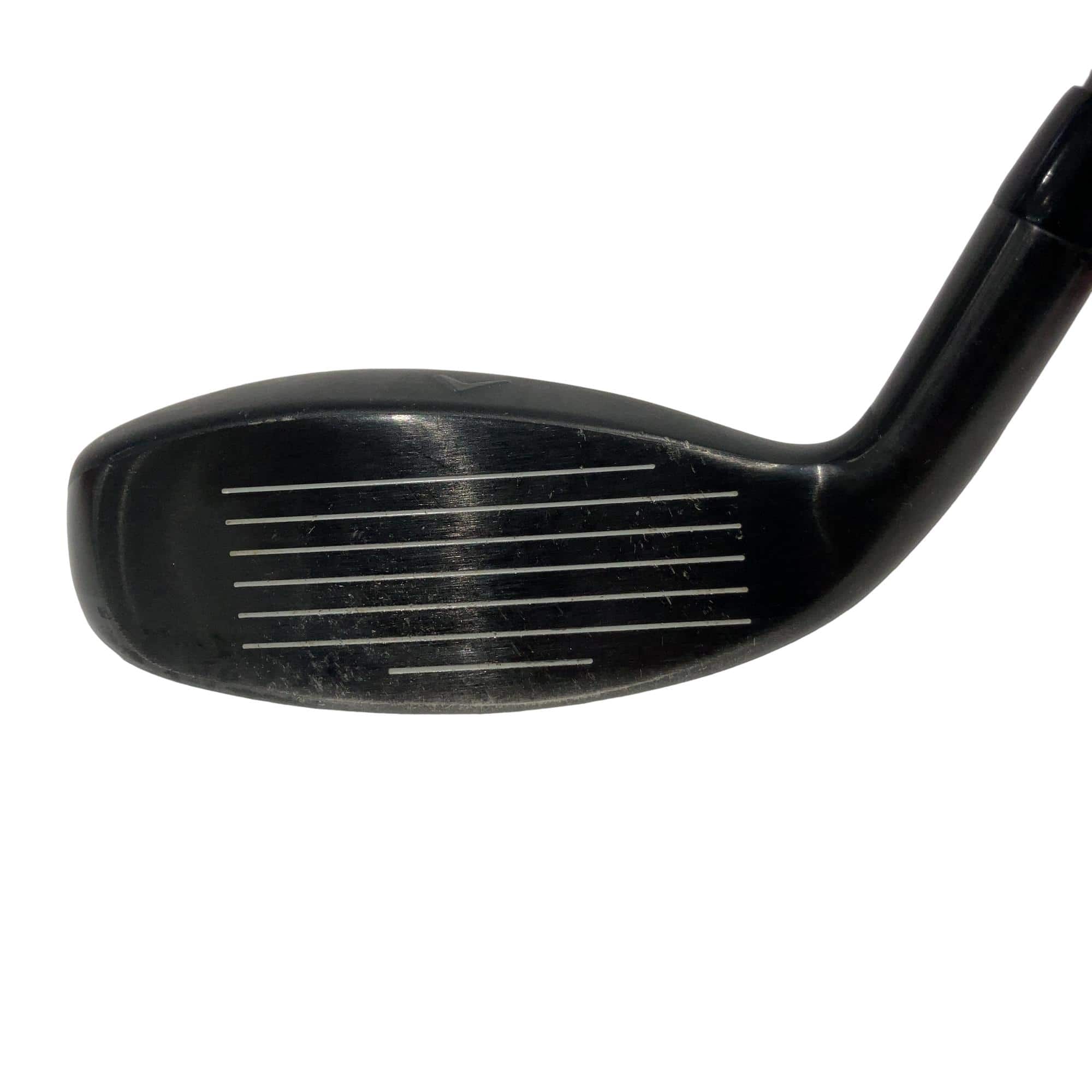 �w�q�@�P�U�@�n�r�@�t�R