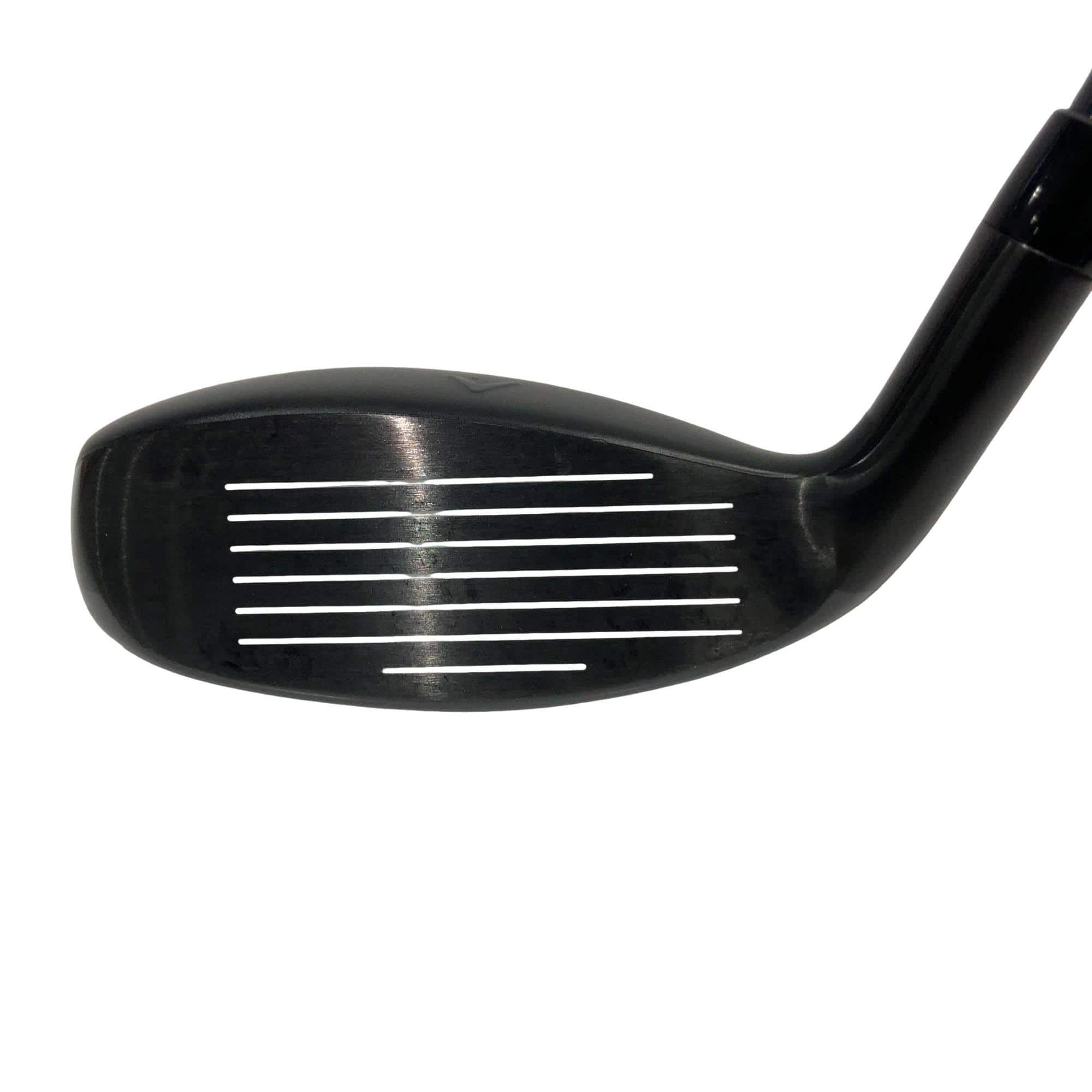 �w�q�@�P�U�@�n�r�@�t�S