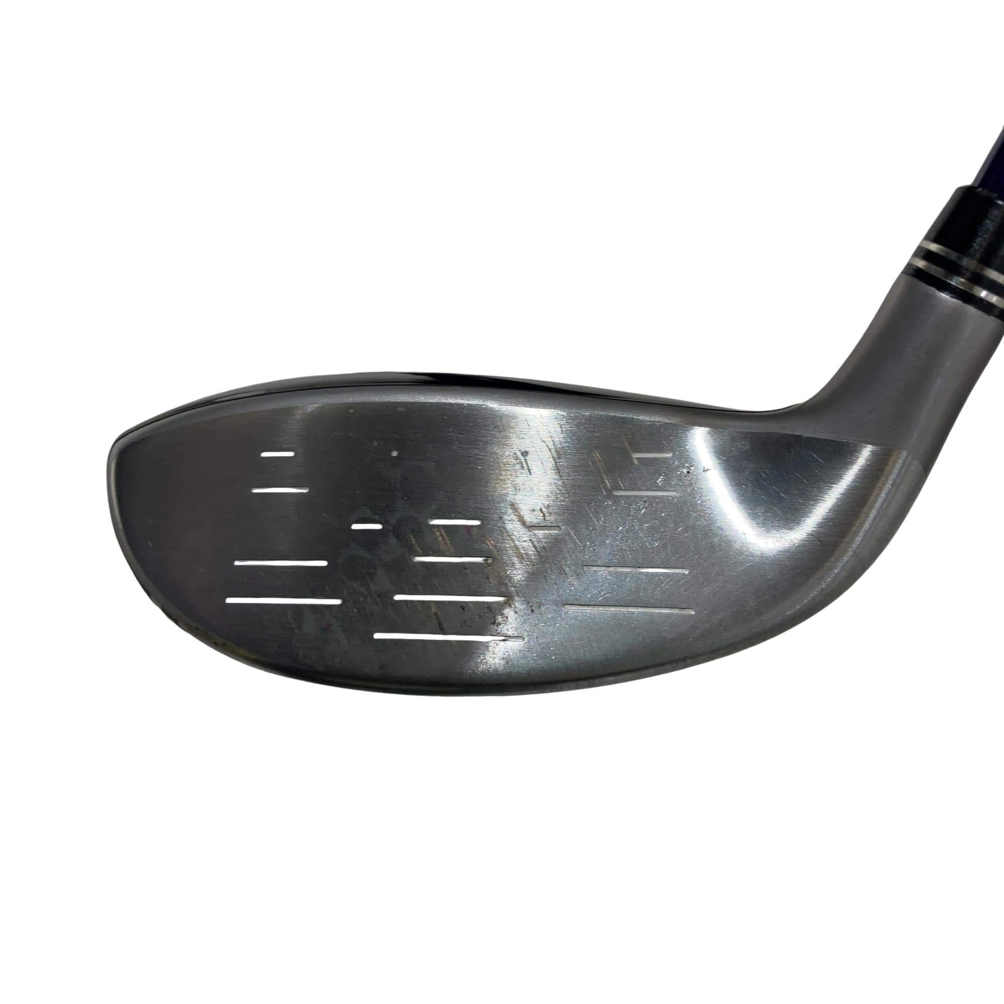 �w�w�h�n�i�Q�O�P�U�j�@�t�U�@���f�B�[�X