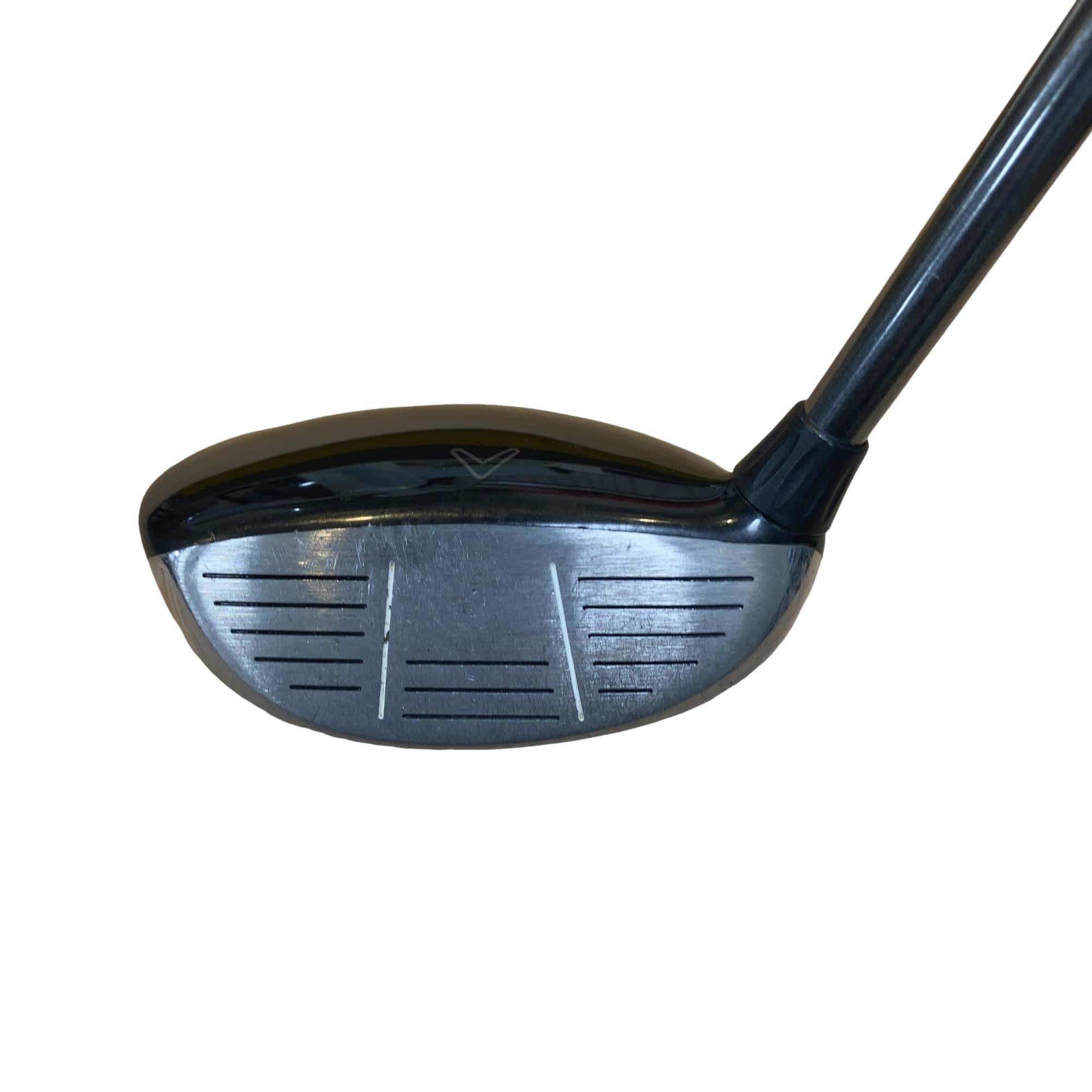 �w�@���[�e�B���e�B�@�R�g�i�Q�P°�j