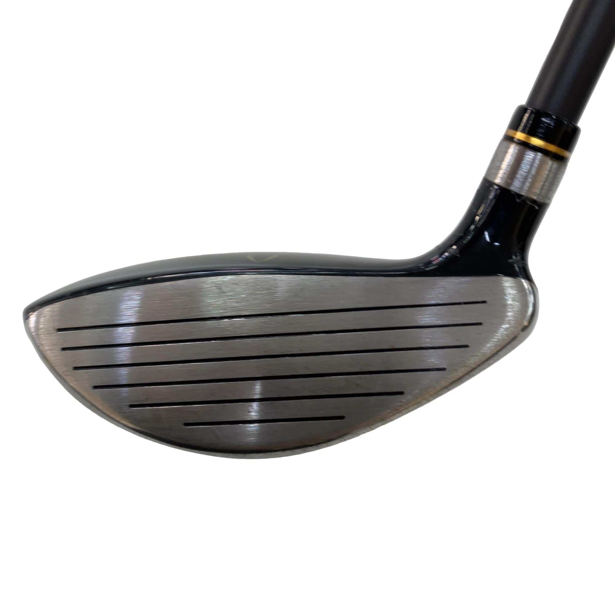 �j�Q�j�@���������O�X���[�e�B���e�B�@�t�T