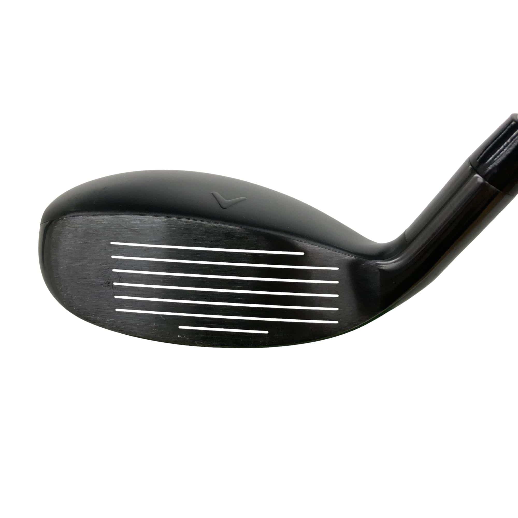 �w�q�@�P�U�@�n�r�@�t�T