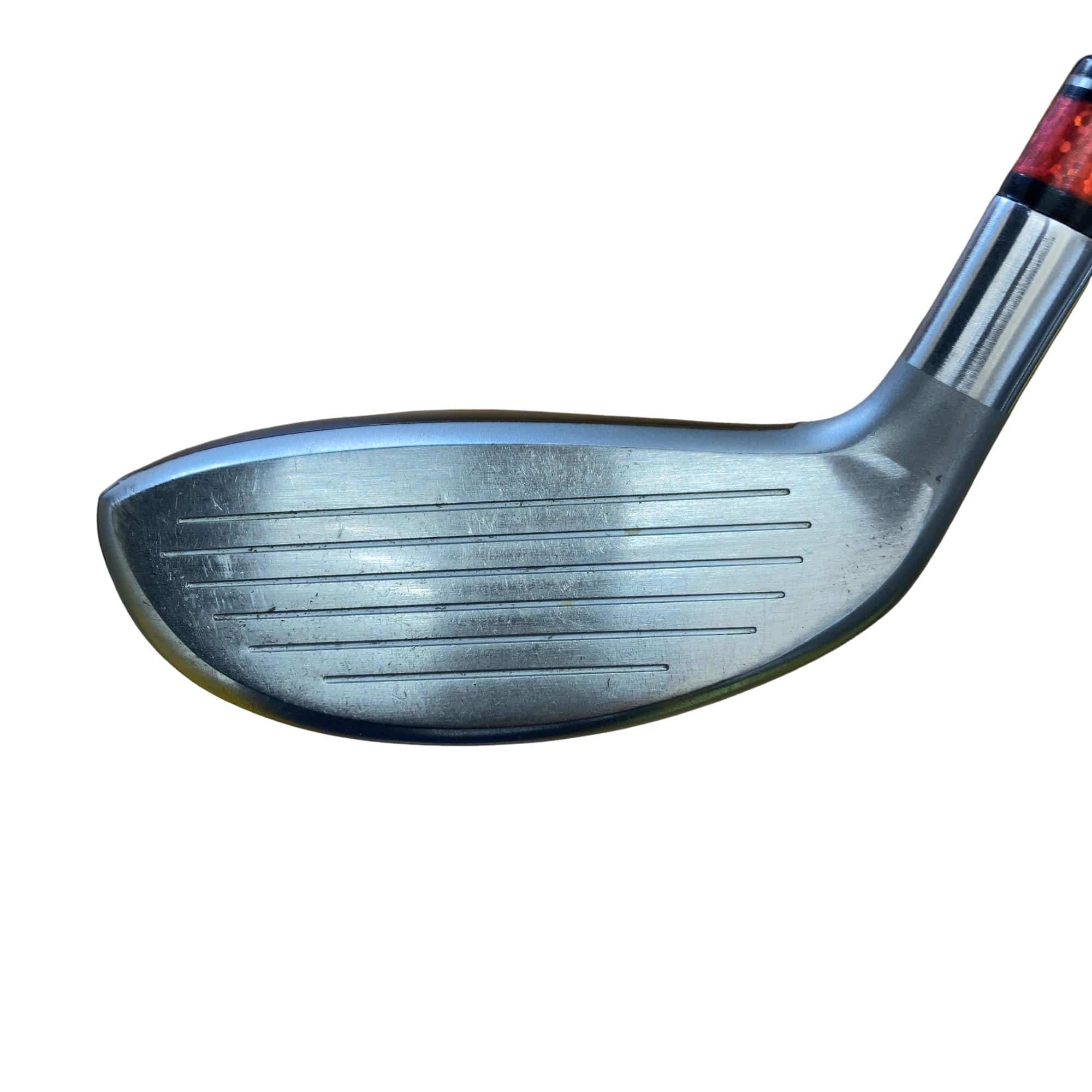 �d�y�n�m�d�@���[�e�B���e�B�@�t�S