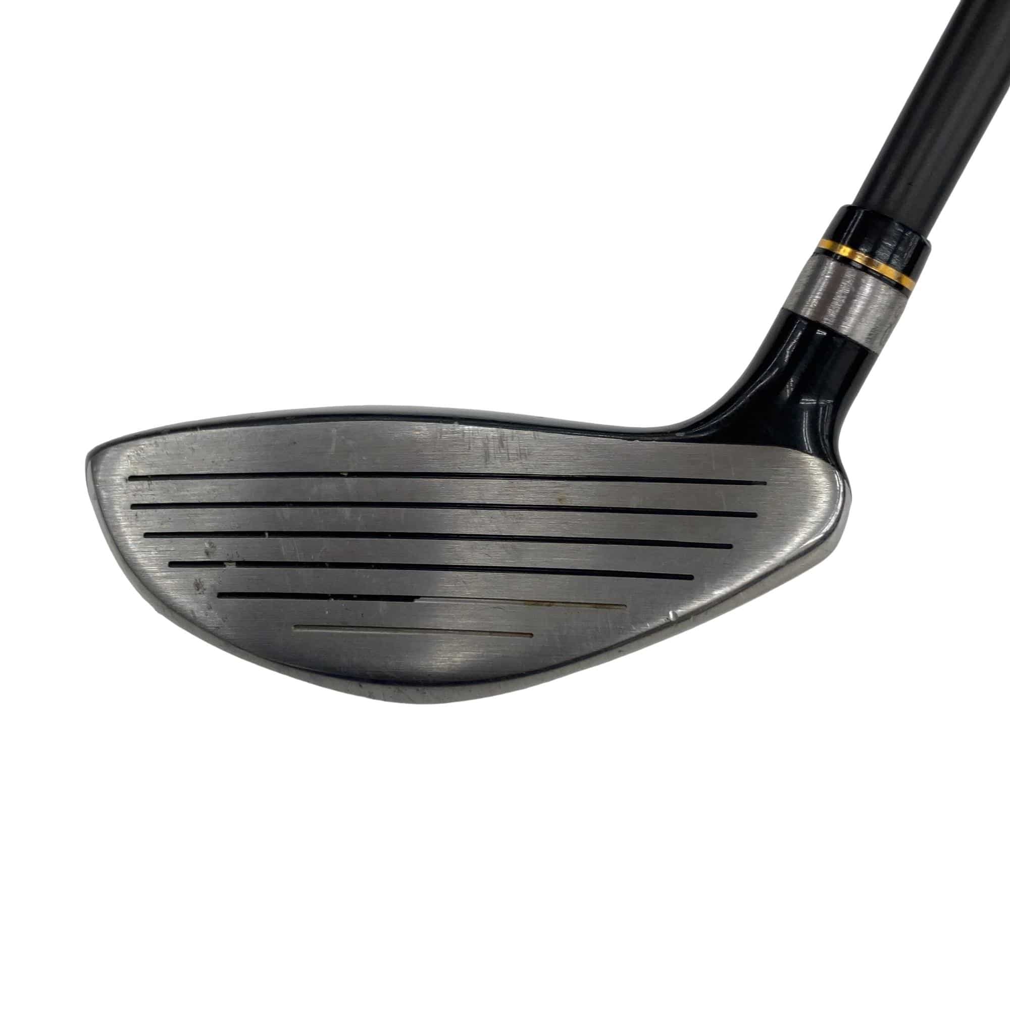 �j�Q�j�@���������O�X���[�e�B���e�B�@�t�T