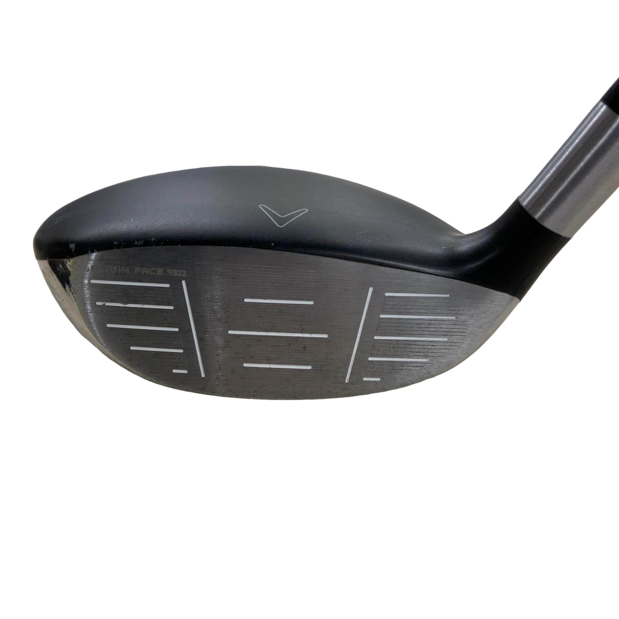 �q�n�f�t�d�@�r�s�@�l�`�w�@�e�`�r�s�@�T�v�@���f�B�[�X