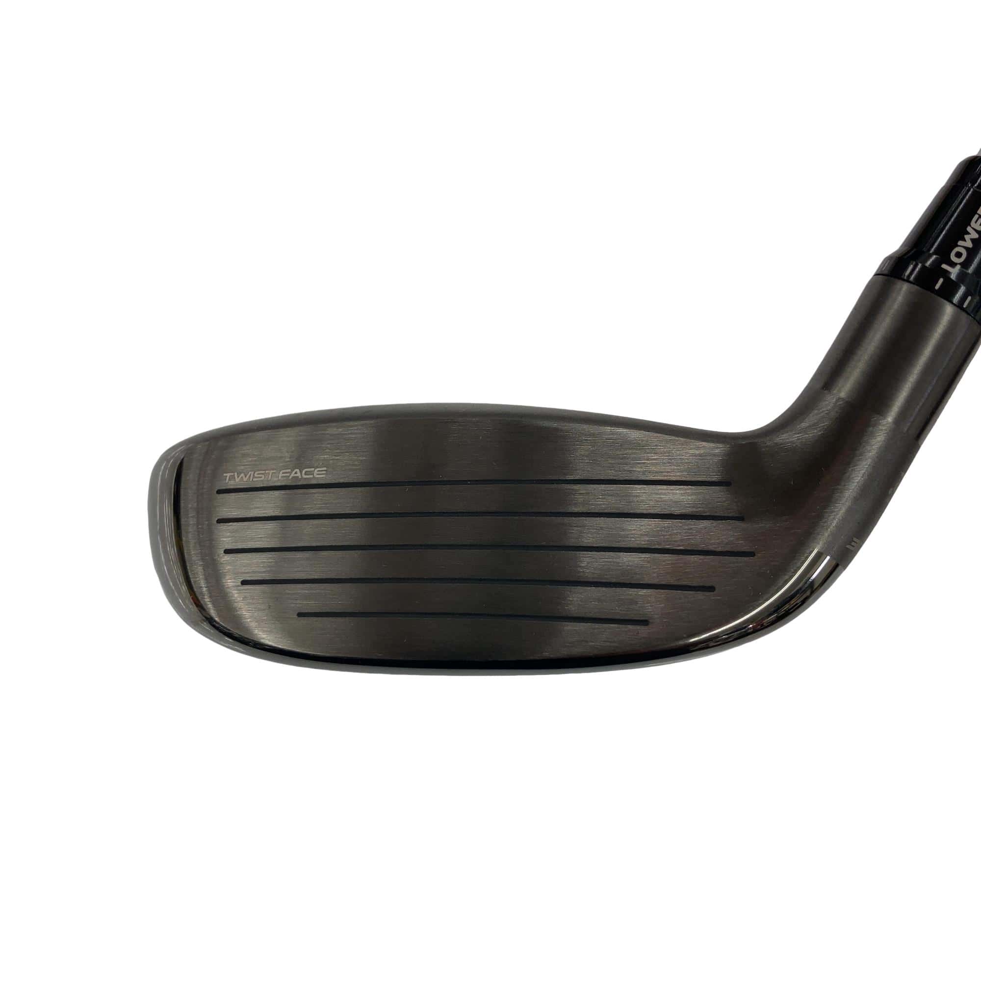 �p���R�T�@�t�S