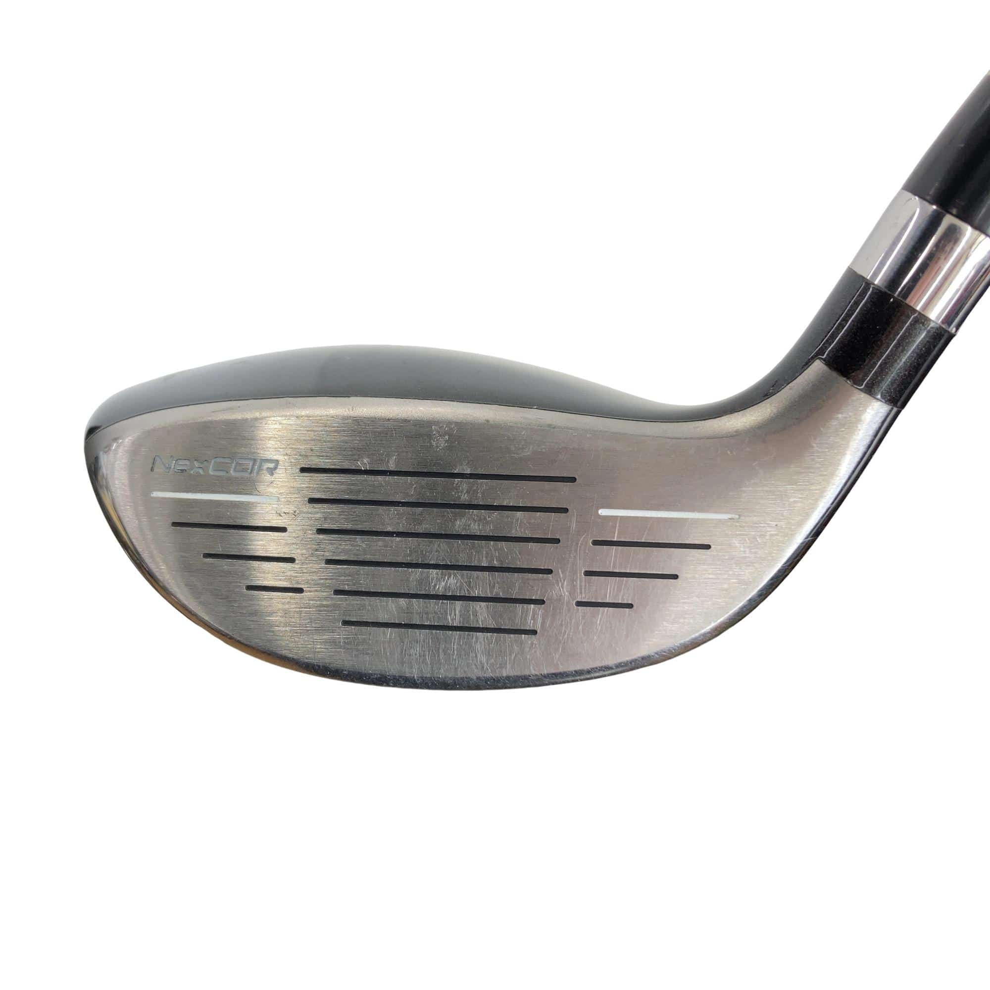 �u�q�Q�r�@���[�e�B���e�B�@�t�Q�@�t�r�`