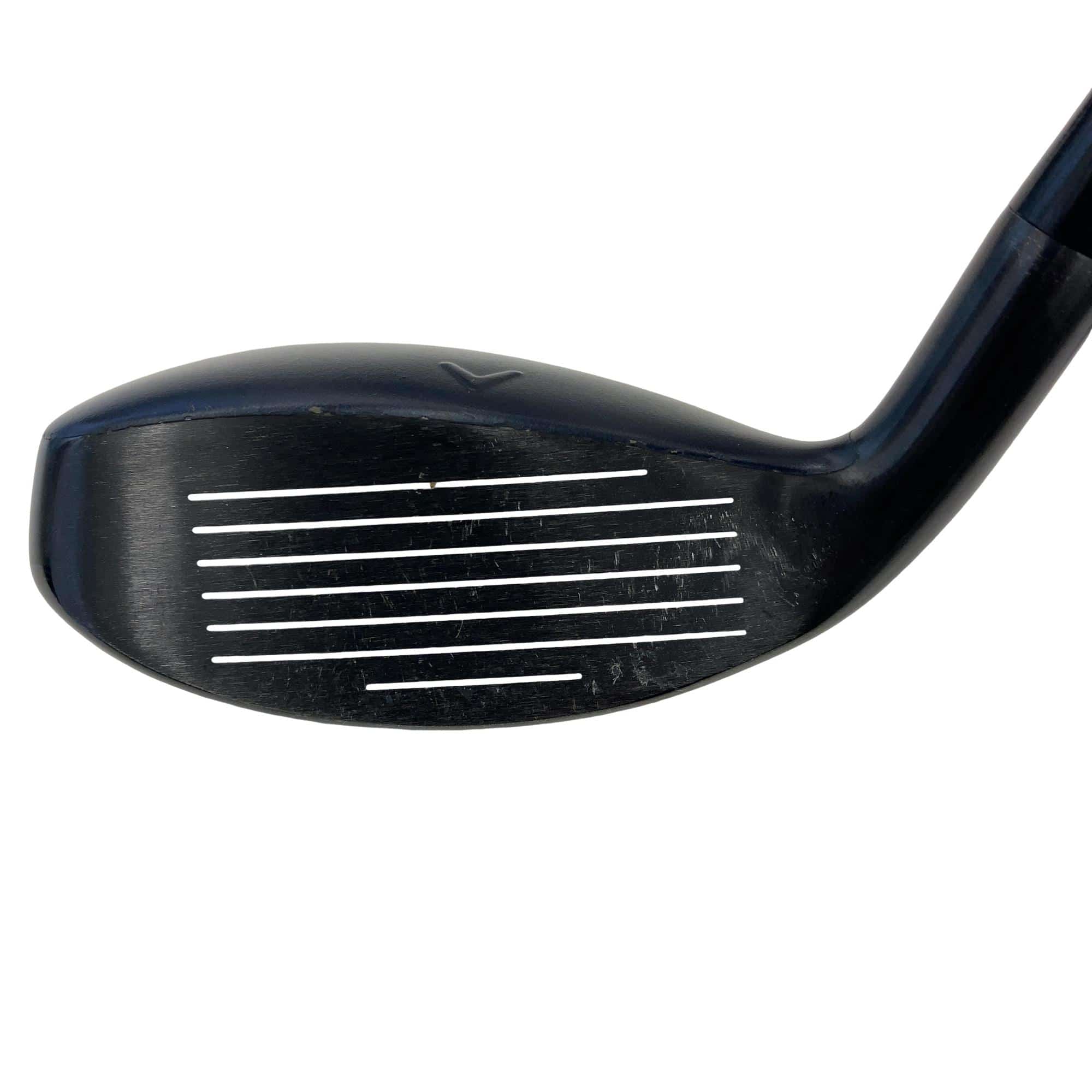 �w�q�@�t�T�@���f�B�[�X