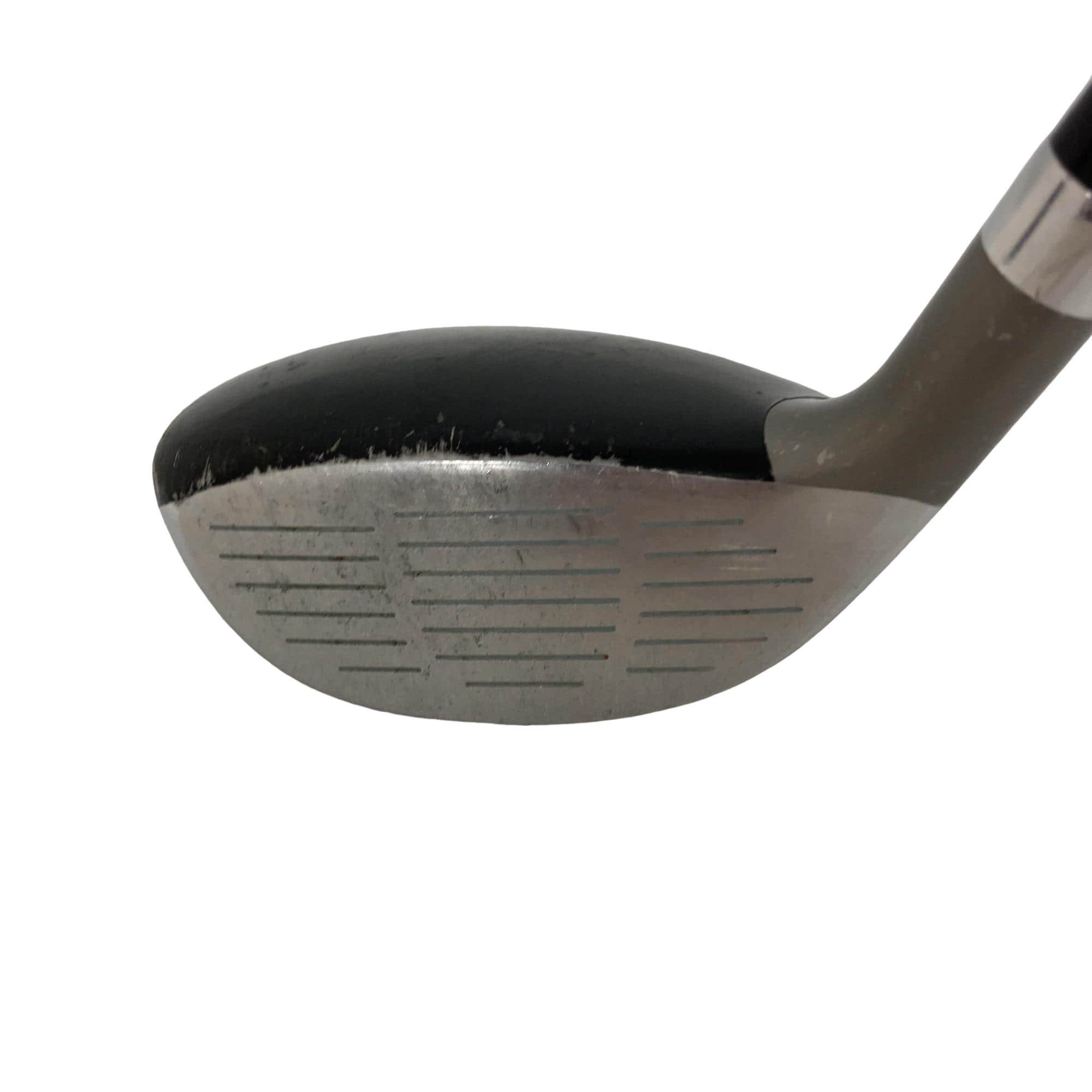 �u�h�b�s�n�q�x�@�q�d�c�@���[�e�B���e�B�@�t�S