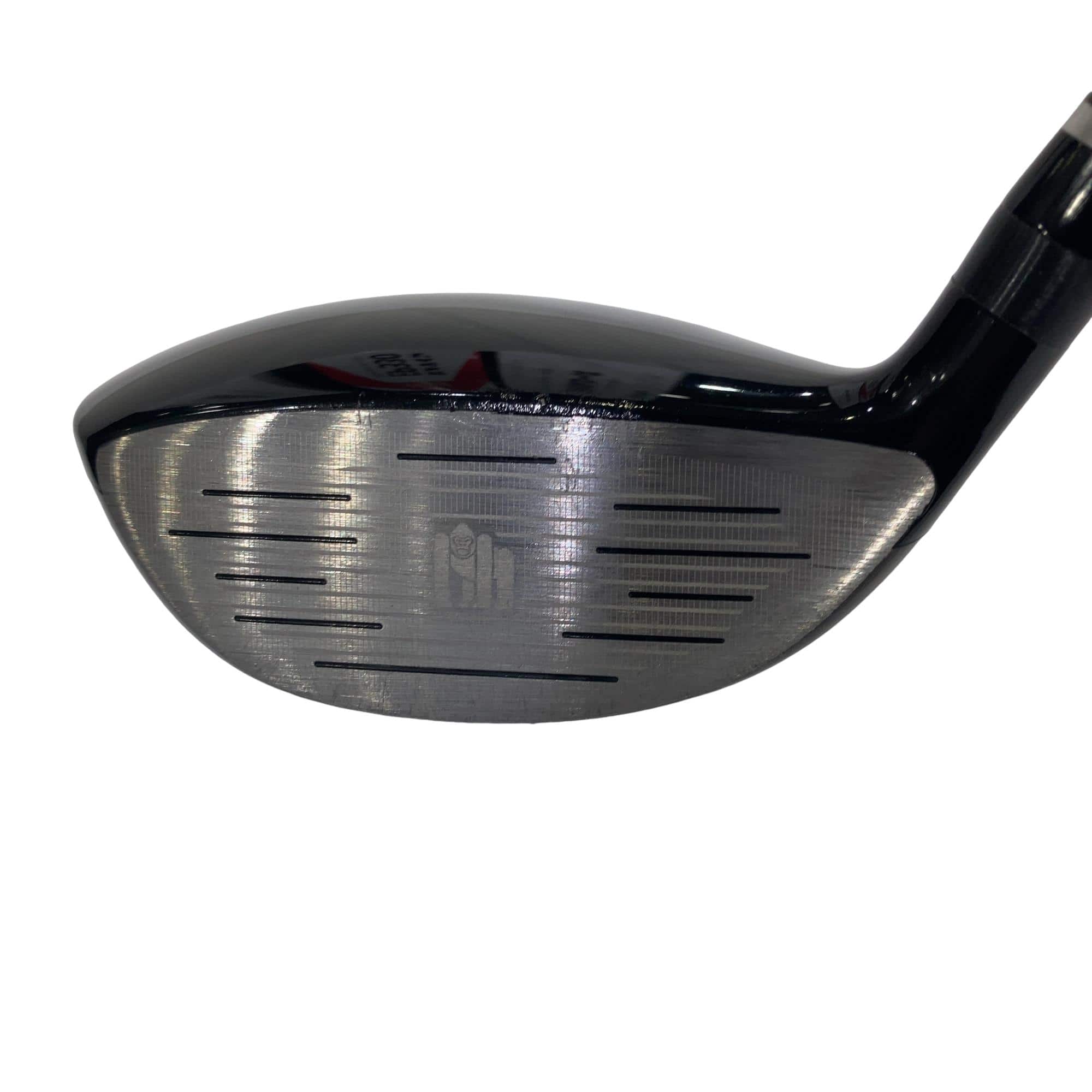 �f�n�q�h�k�k�`�@�w�w�P�@�y�d�q�n�@�T�v