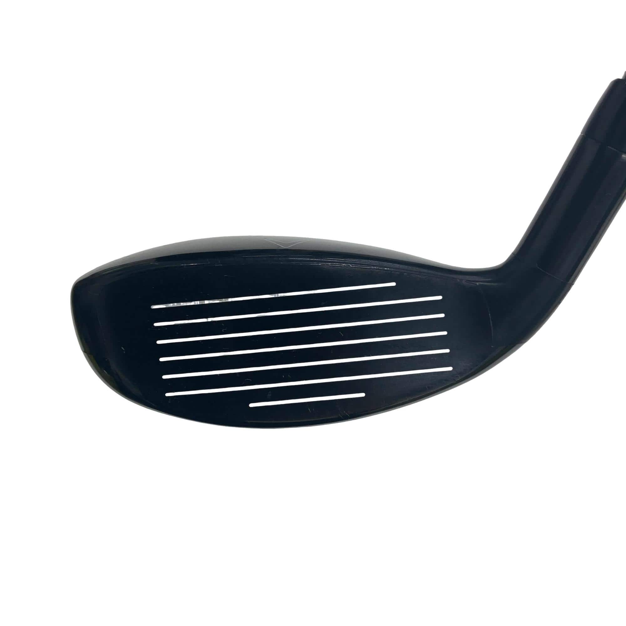 �w�Q�@�g�n�s�@�t�R