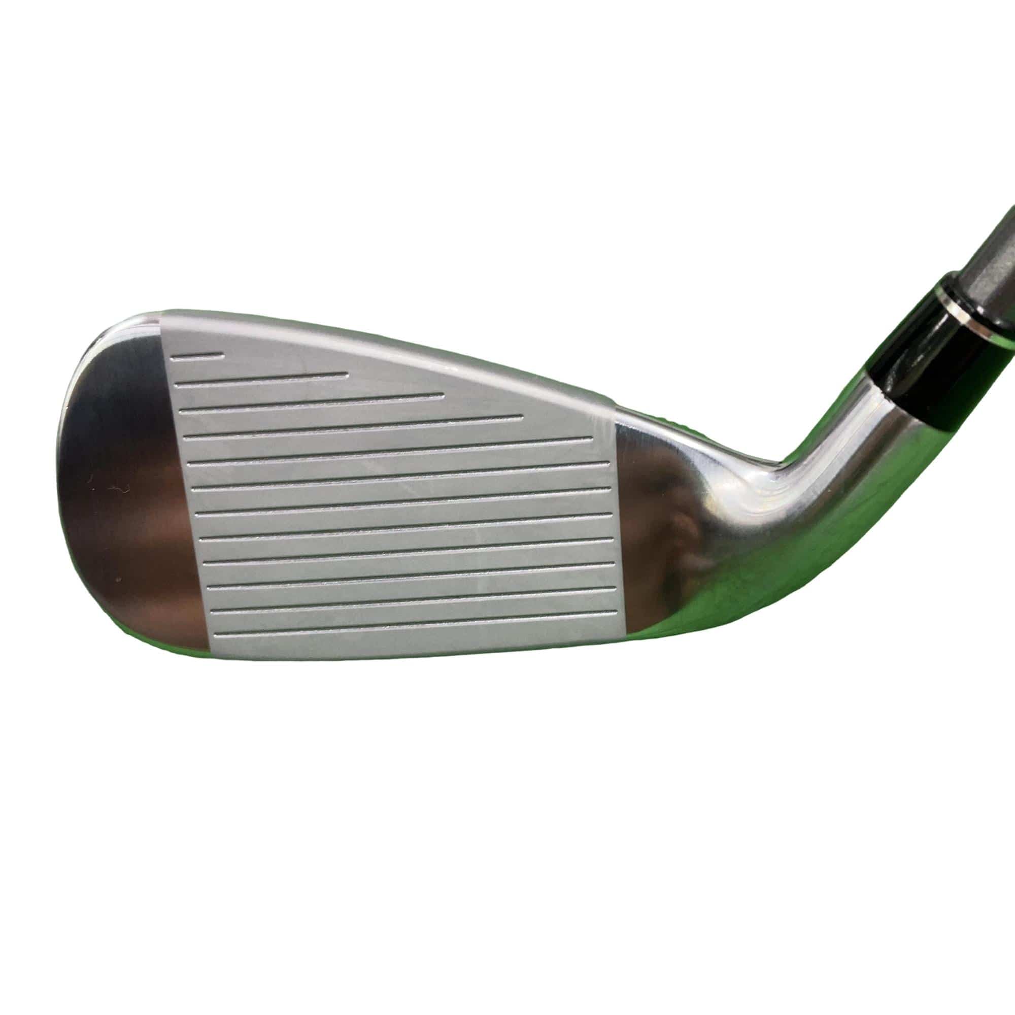 �������@���{�i�Q�O�P�X�j�@�t�T