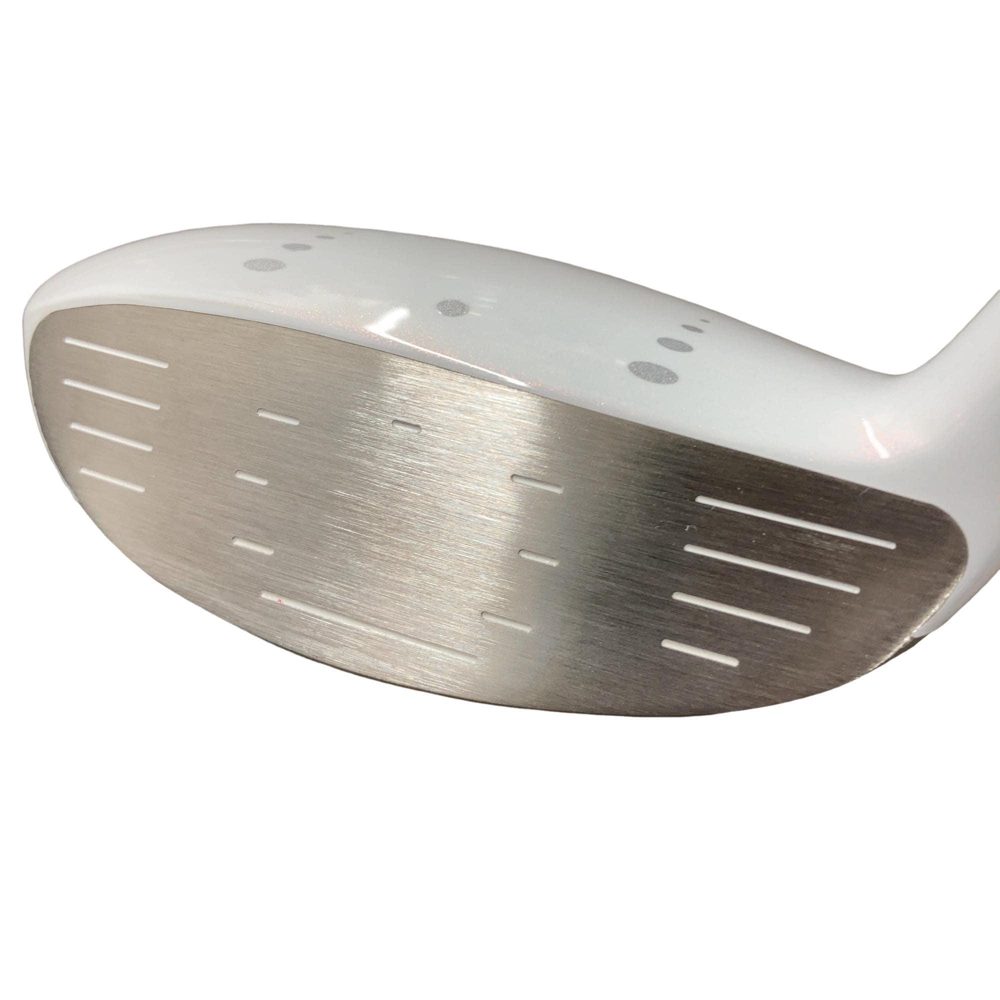 �r�q�h�w�n�m�@�����������@�t�T�@���f�B�[�X