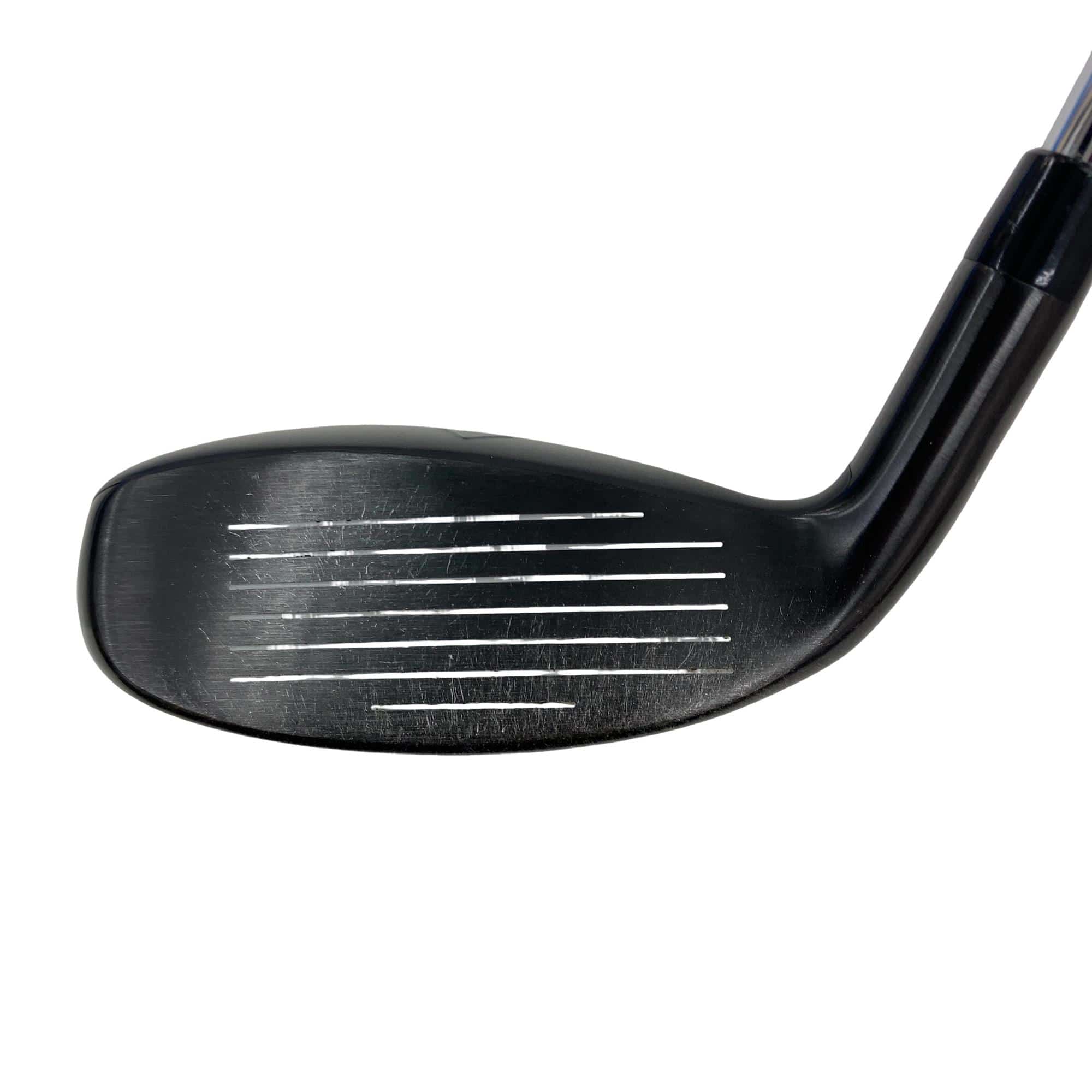 �w�q�@�P�U�@�n�r�@�t�T