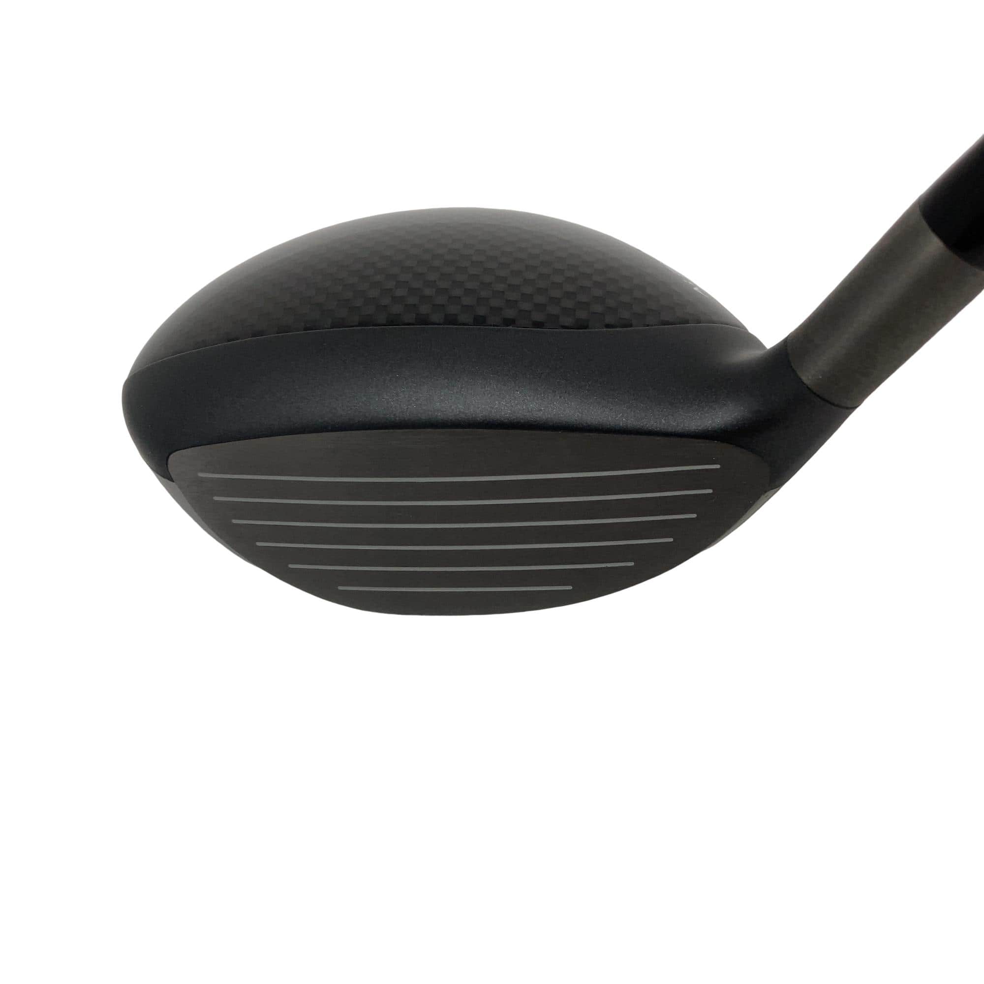 �o�`�q�`�c�x�l�@�`���@�r�l�n�j�d�@�������@�T�v