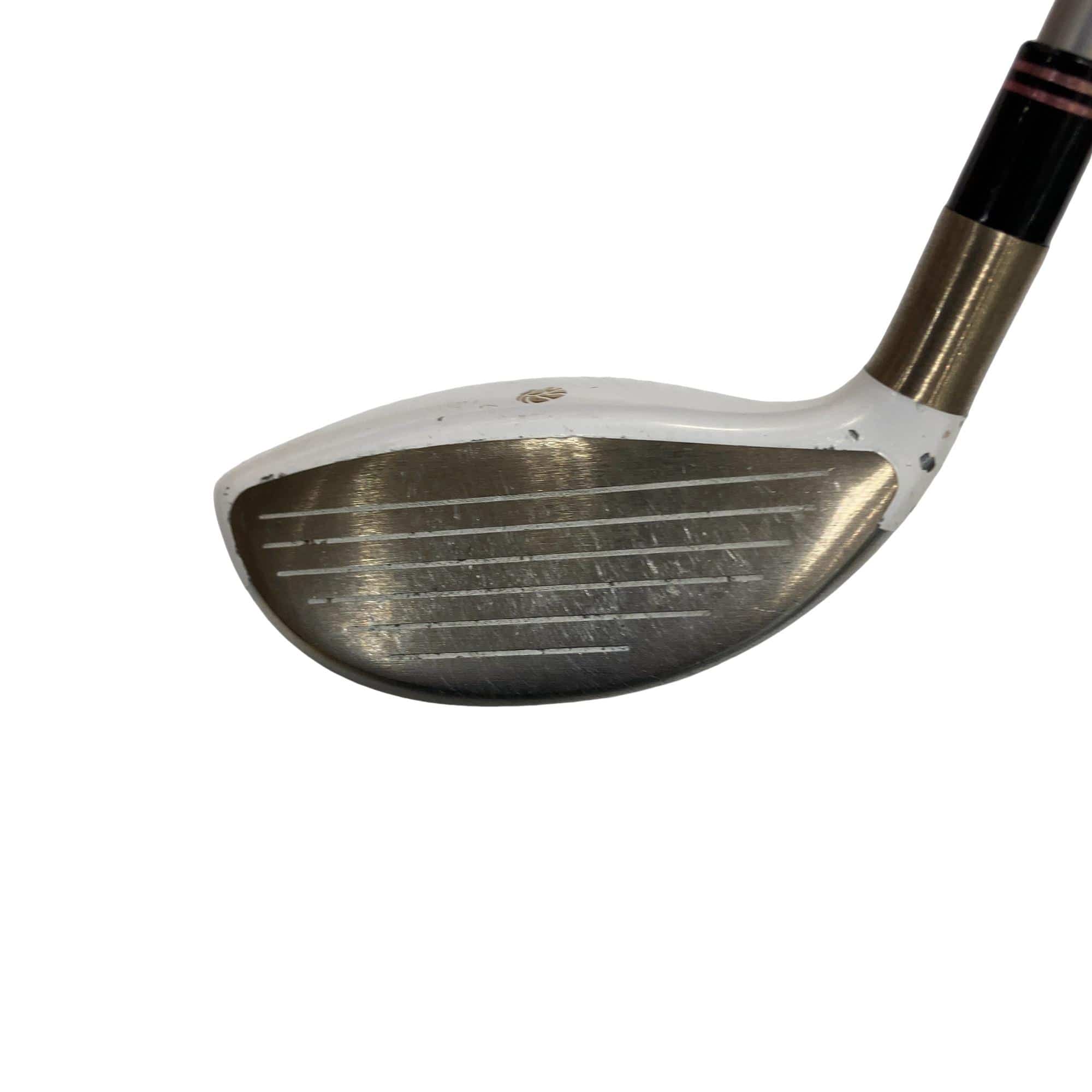 �f�k�n�h�q�d�@�e�@�T�v�@���f�B�[�X