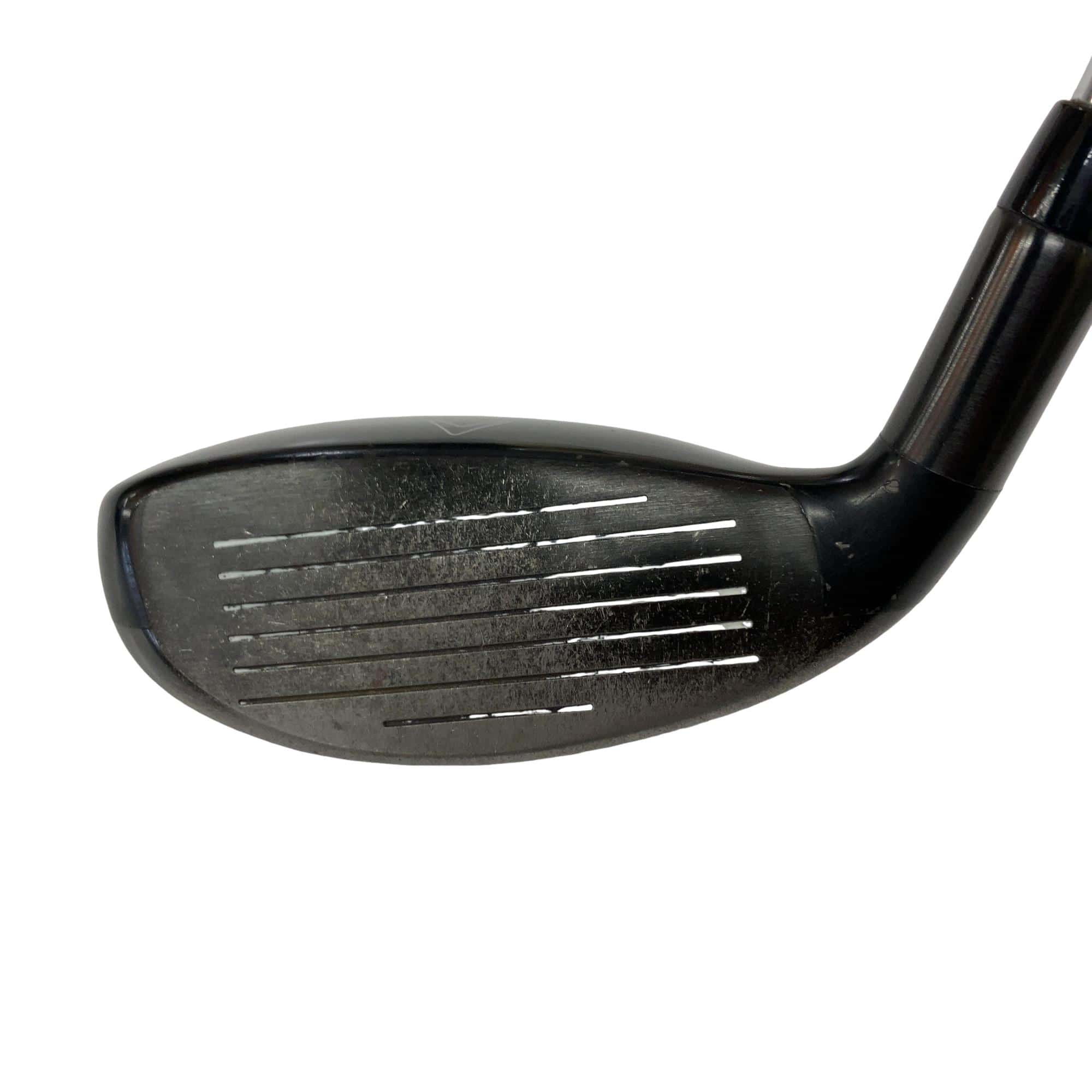 �w�Q�@�g�n�s�@�t�R