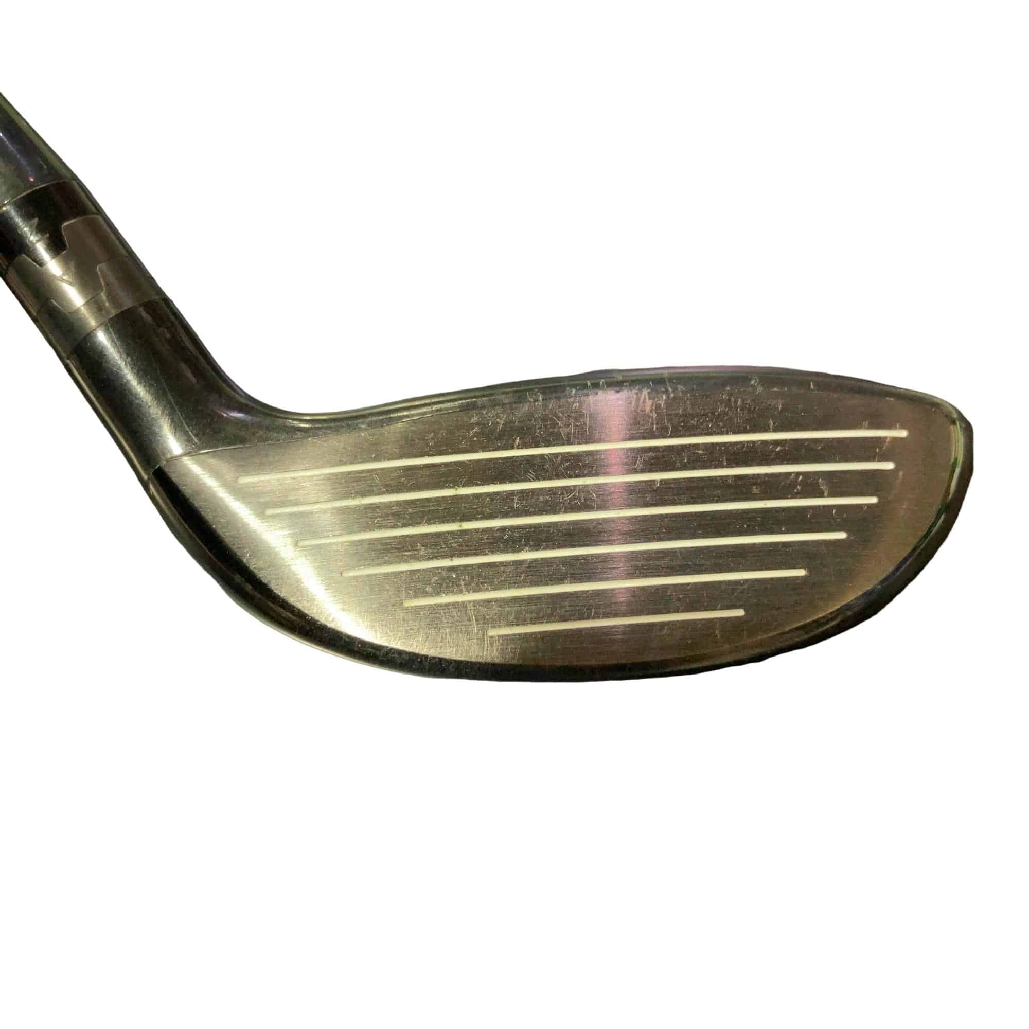 �X�P�O�@�e�@�P�T°�@���t�e�B